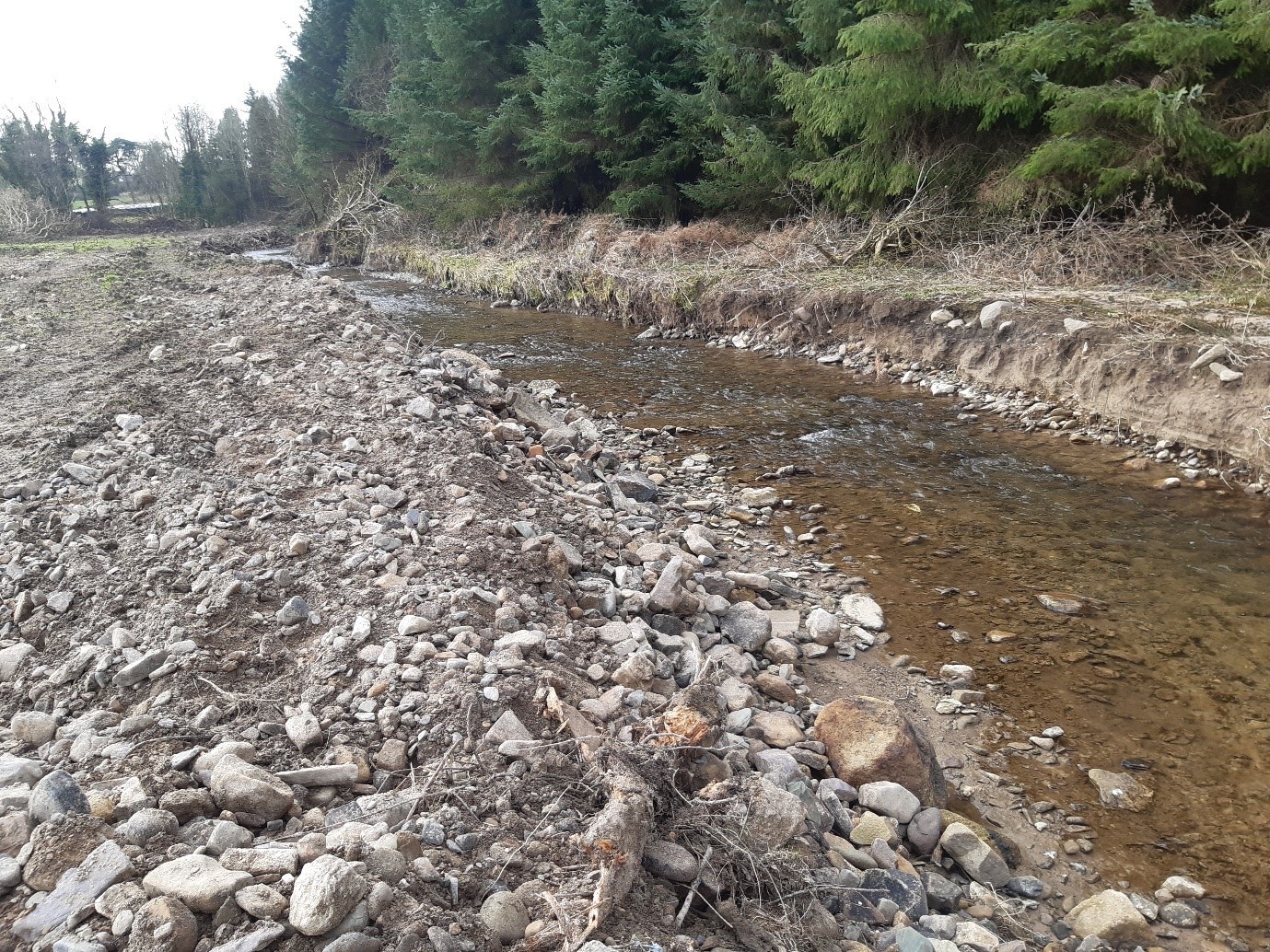 Realignment of Lingaun River with river bed material on bankside. Source: Inland Fisheries Ireland