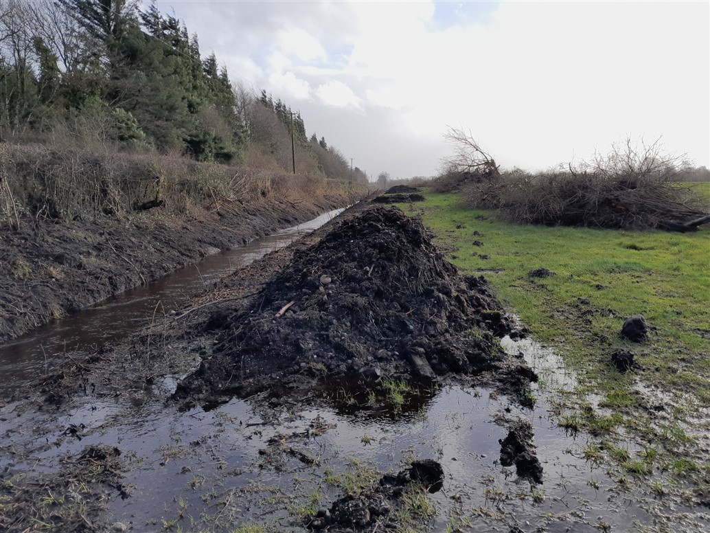 Trumera, Mountrath Source: Inland Fisheries Ireland