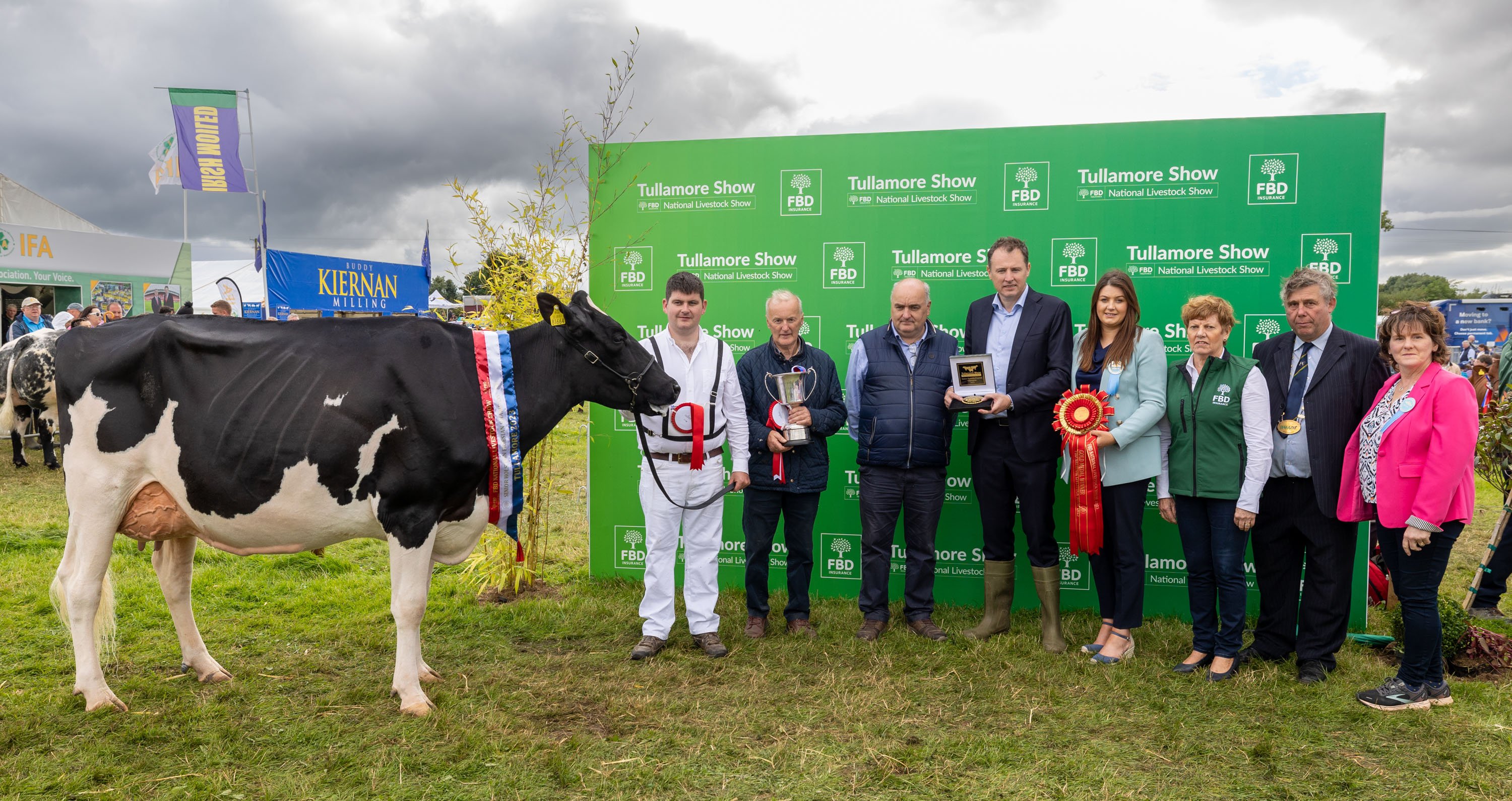 The champion Holstein Friesian owned by Brian and John O’Connor from Kanturk, Co. Cork and shown by handler Paul Murphy. Source: Alf Harvey