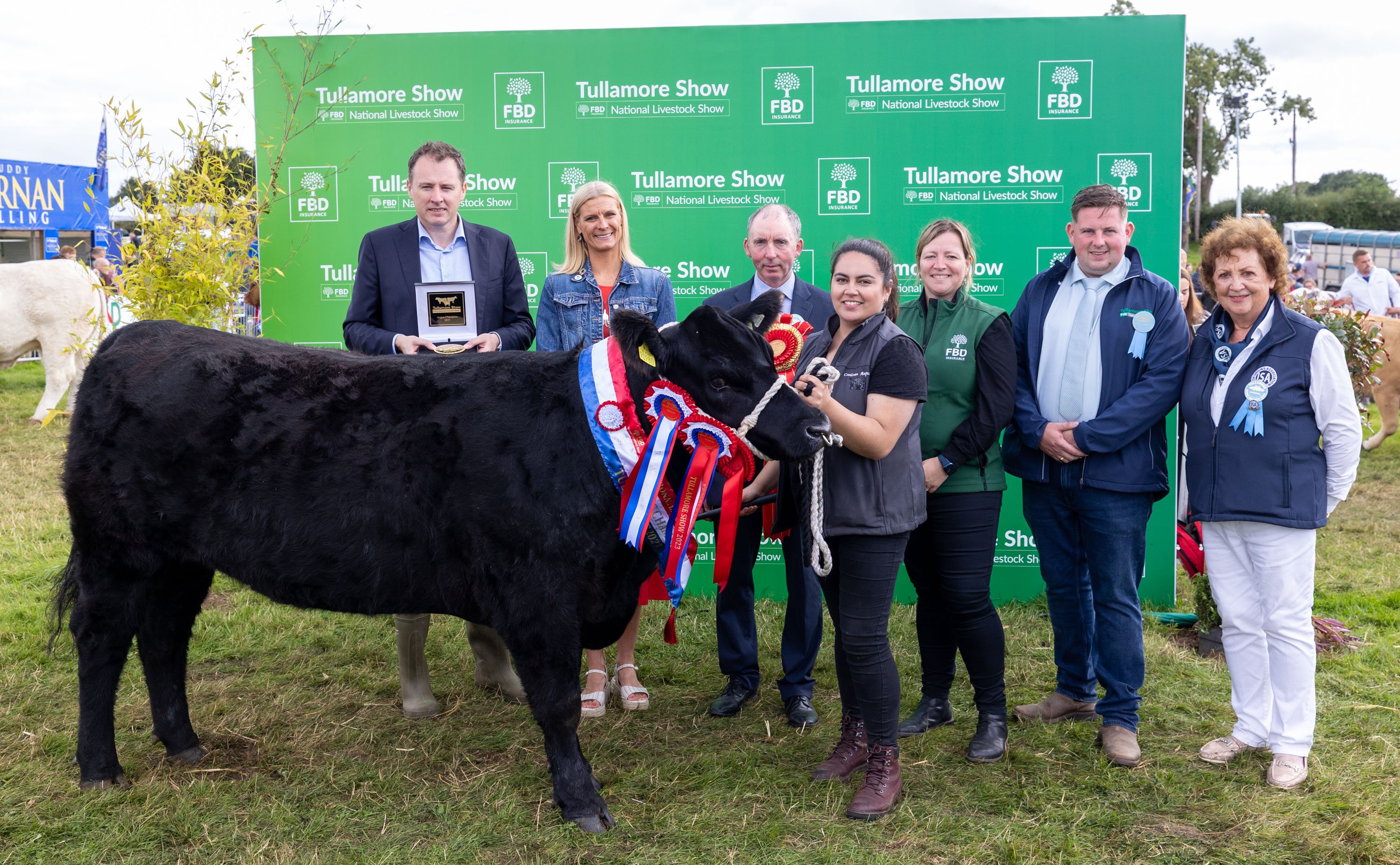The supreme champion Angus owned by Grainne and Michael Horan from Mayo and shown by Grainne. Source: Alf Harvey