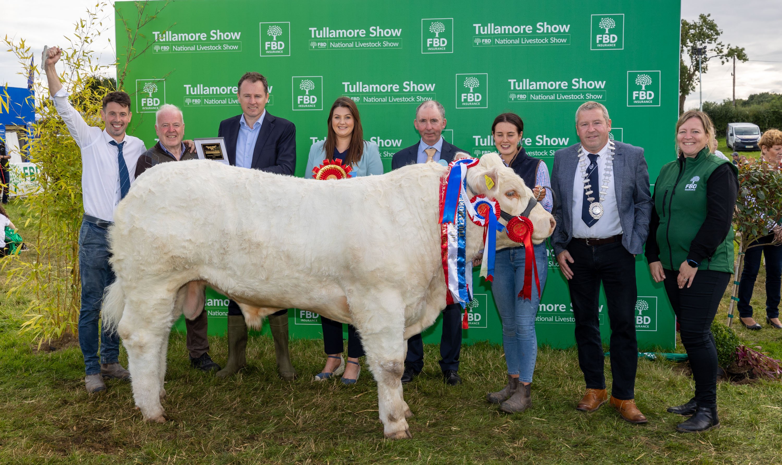 The champion Charolais owned by Brendan and Niall Canning from Rosses Point, Sligo and shown by Leah Staunton. Source: Alf Harvey