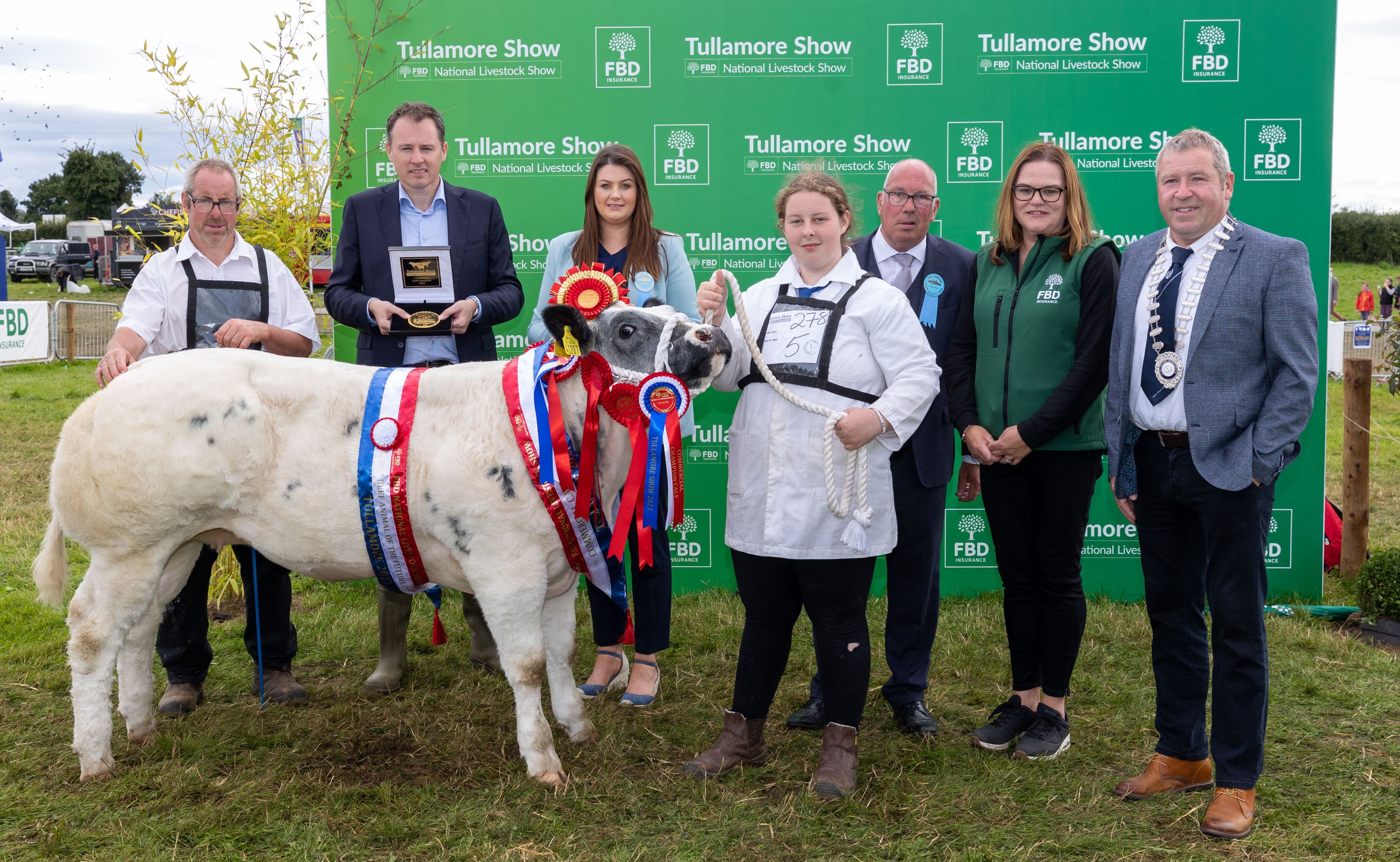 The commercial calf champion owned and shown by David and Grace Wharton from Birr, Co. Offaly. Source: Alf Harvey