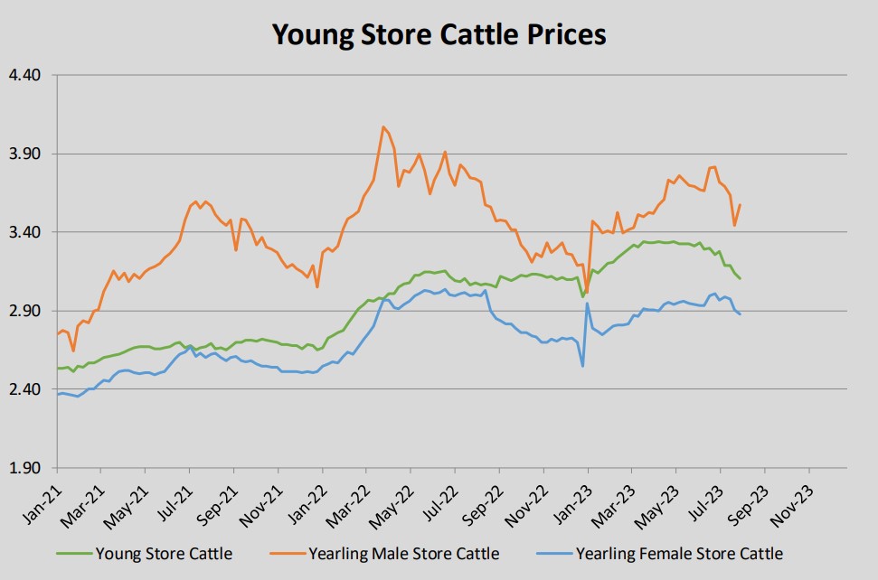 €/kg of young store cattle Source: EU beef dashboard