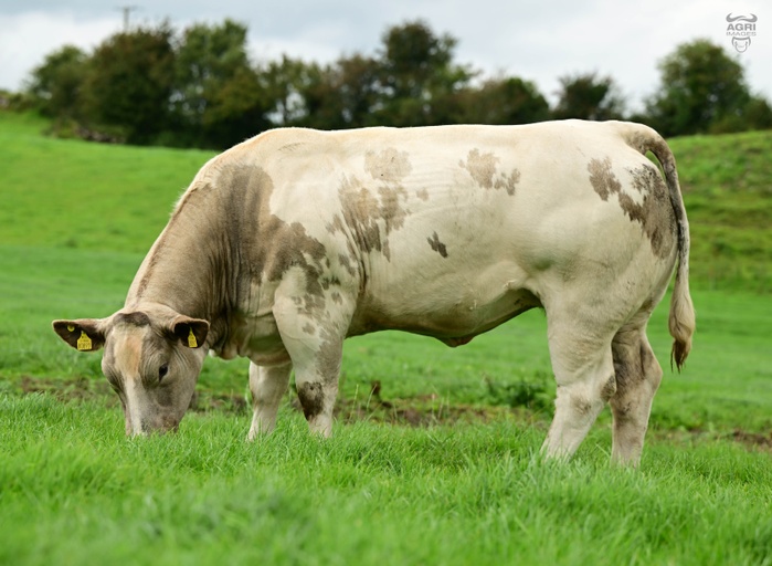 Lot 1 sold for €5,200. Source: MartEye