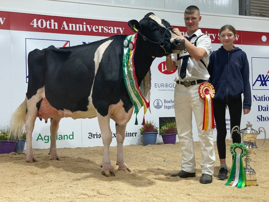 2022 Supreme Champion Hallow Atwood Twizzle 1181 with Will and Kate Jones