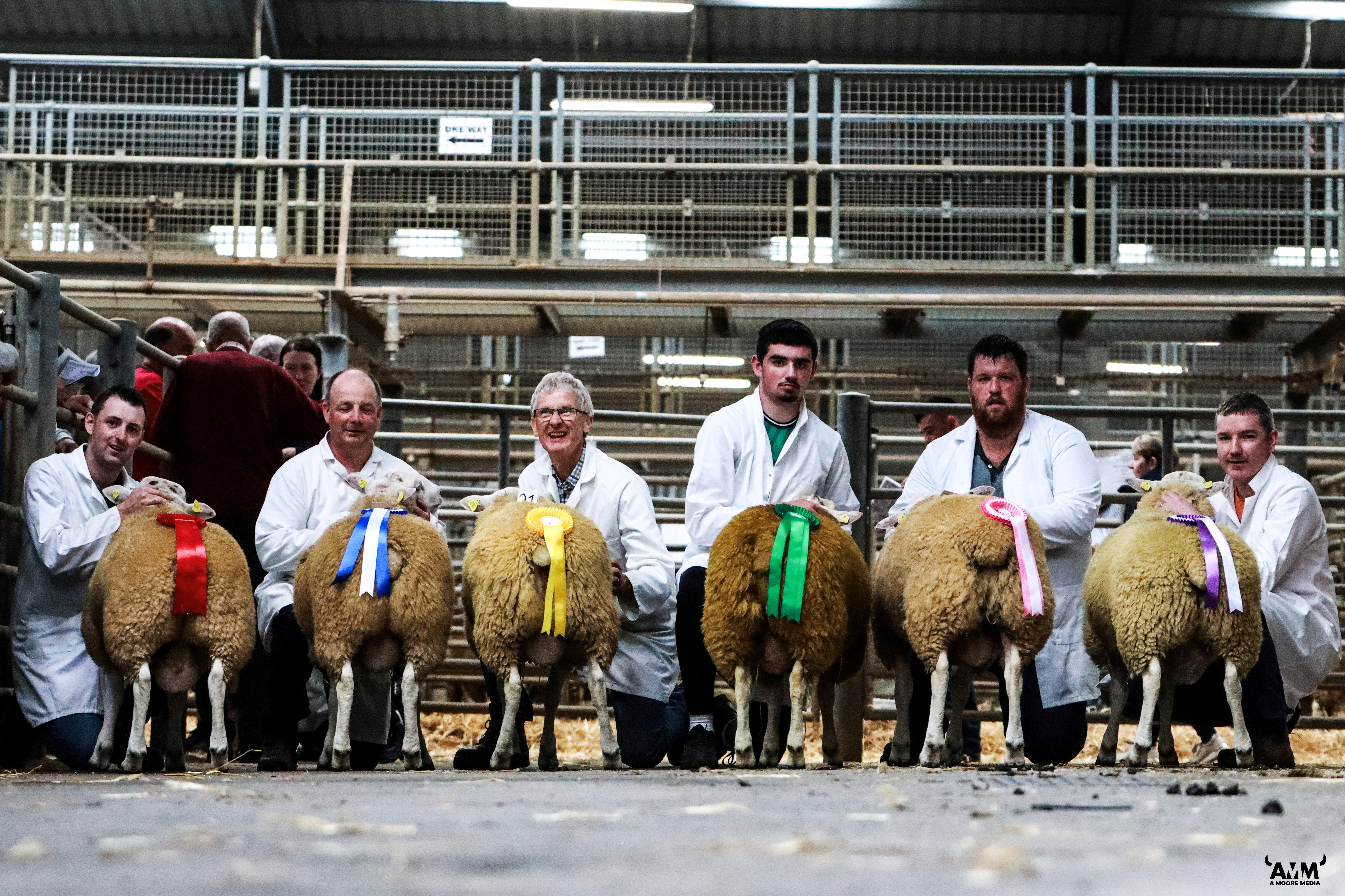L-R:Frank Campion, Michael Gottstein, Liam Delaney, John McTigue, Barry Cunningham, Brian Gallagher Source:  Belclare Sheep Society