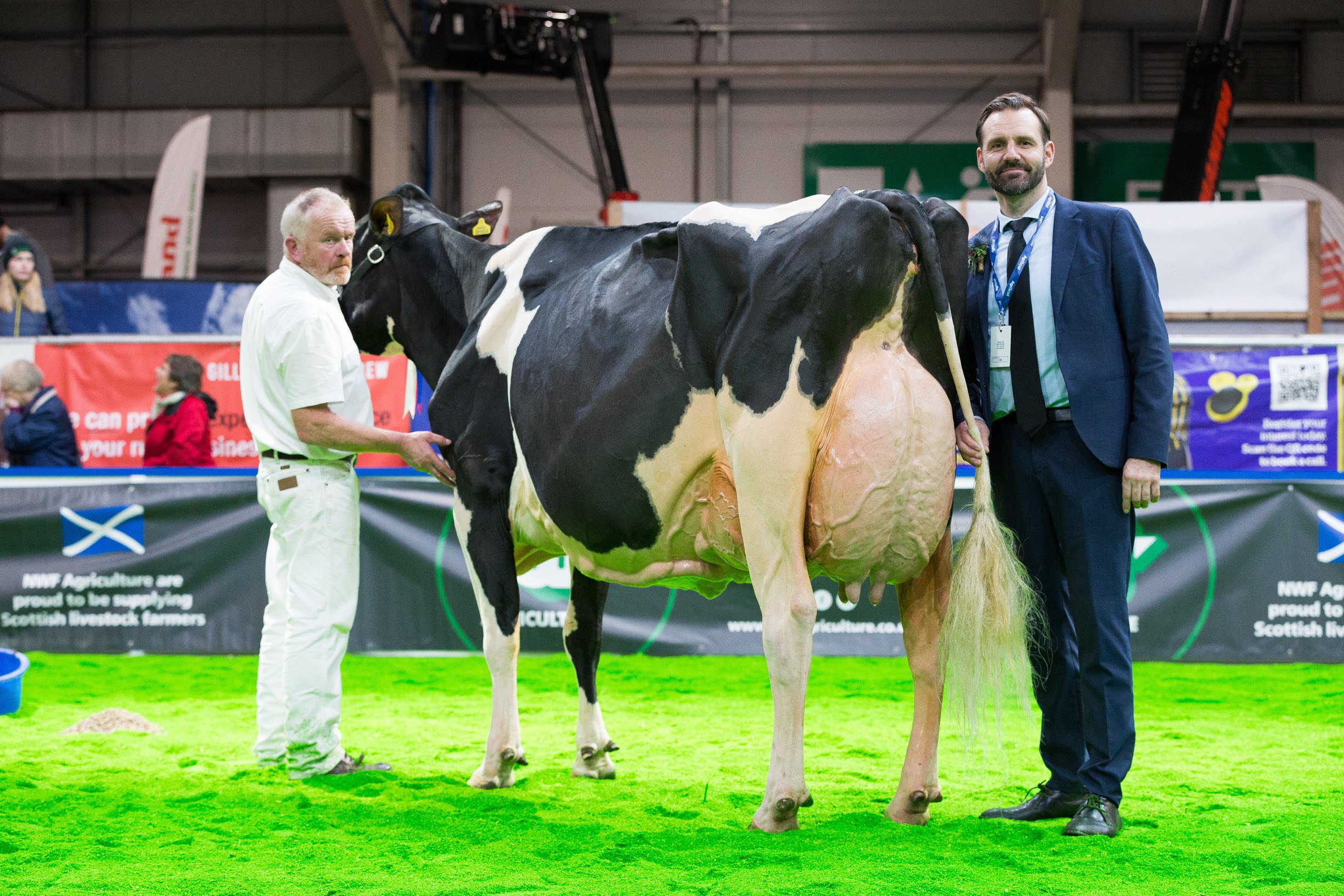 Niels Erik Haahr at the 2022 AgriScot Dairy Show, pictured with the&nbsp;Holstein Champion Whinchat Stanleycup Farrah, lead by Denis O’Neill and owned by Luke Lancaster, Dennis O’Neill, and Evening HolsteinsImage: IHFA