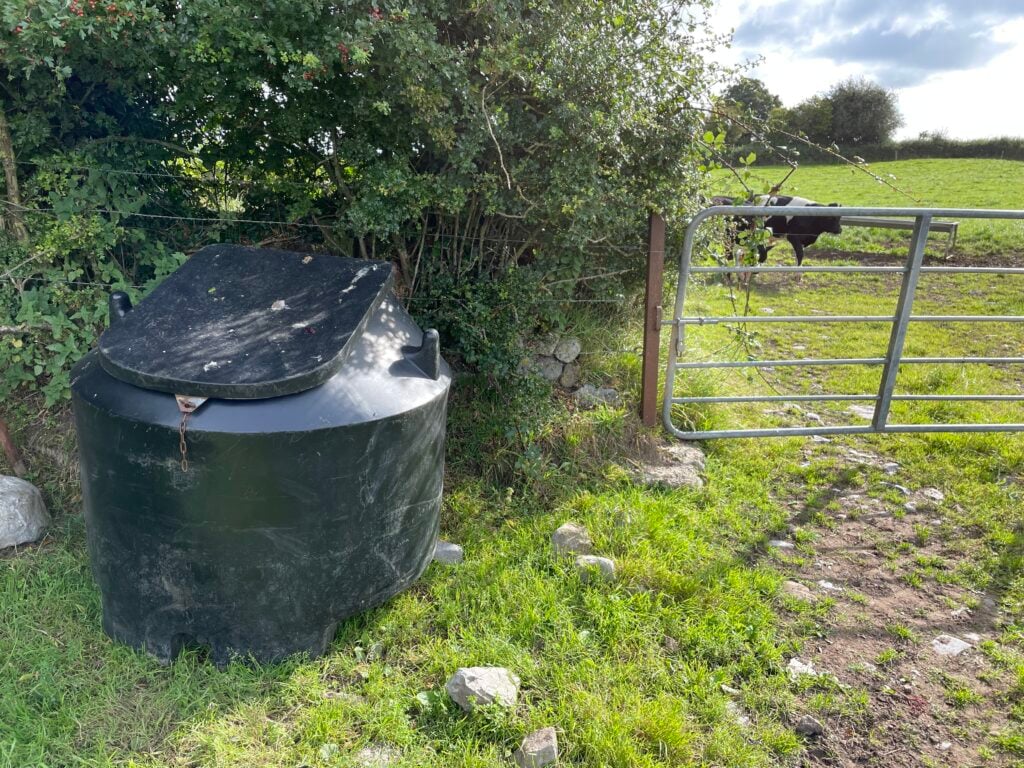 Concentrates are stored near where calves are fed for ease of management