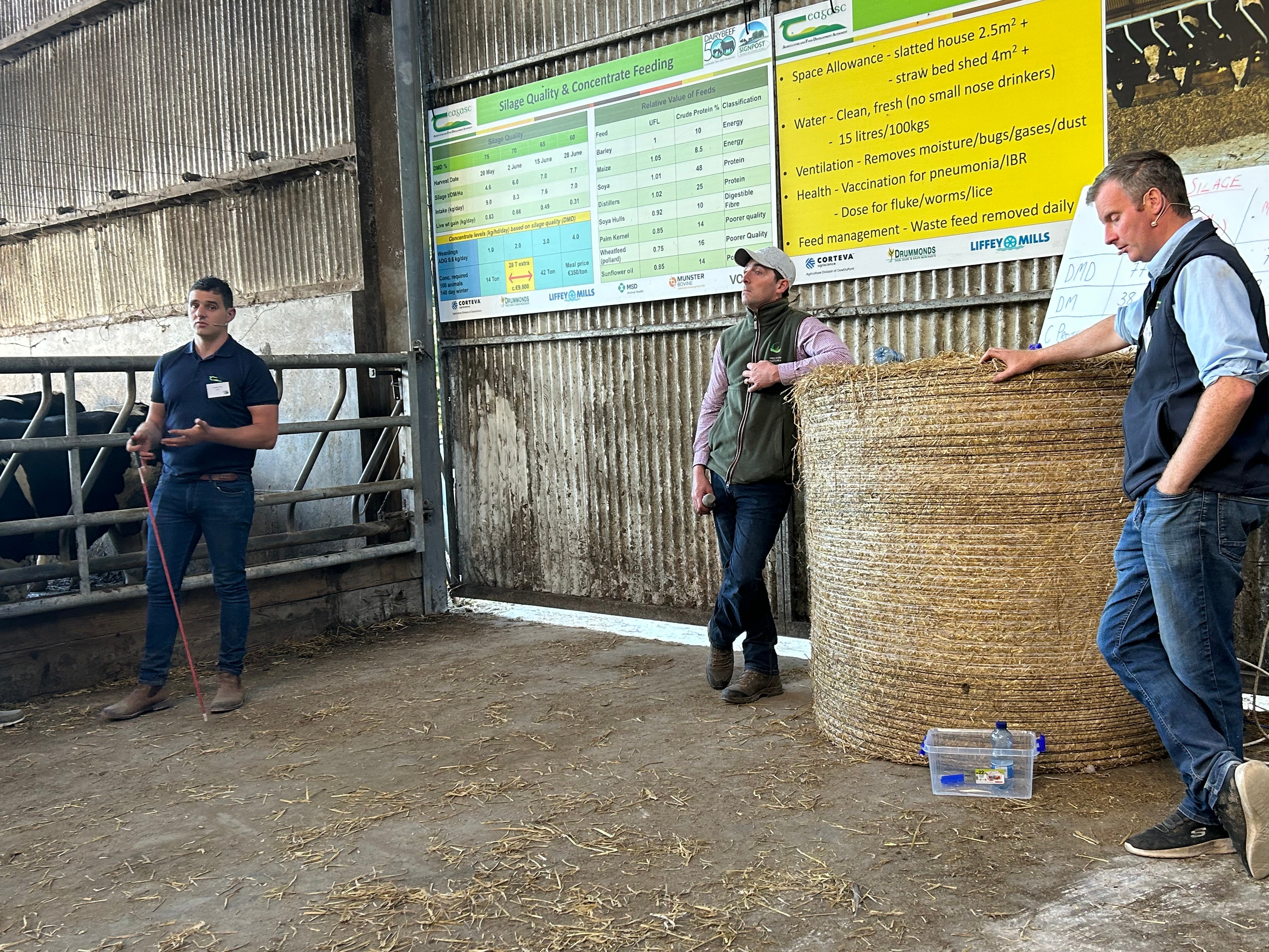 Tommy Cox speaking at Pat Collins farm walk