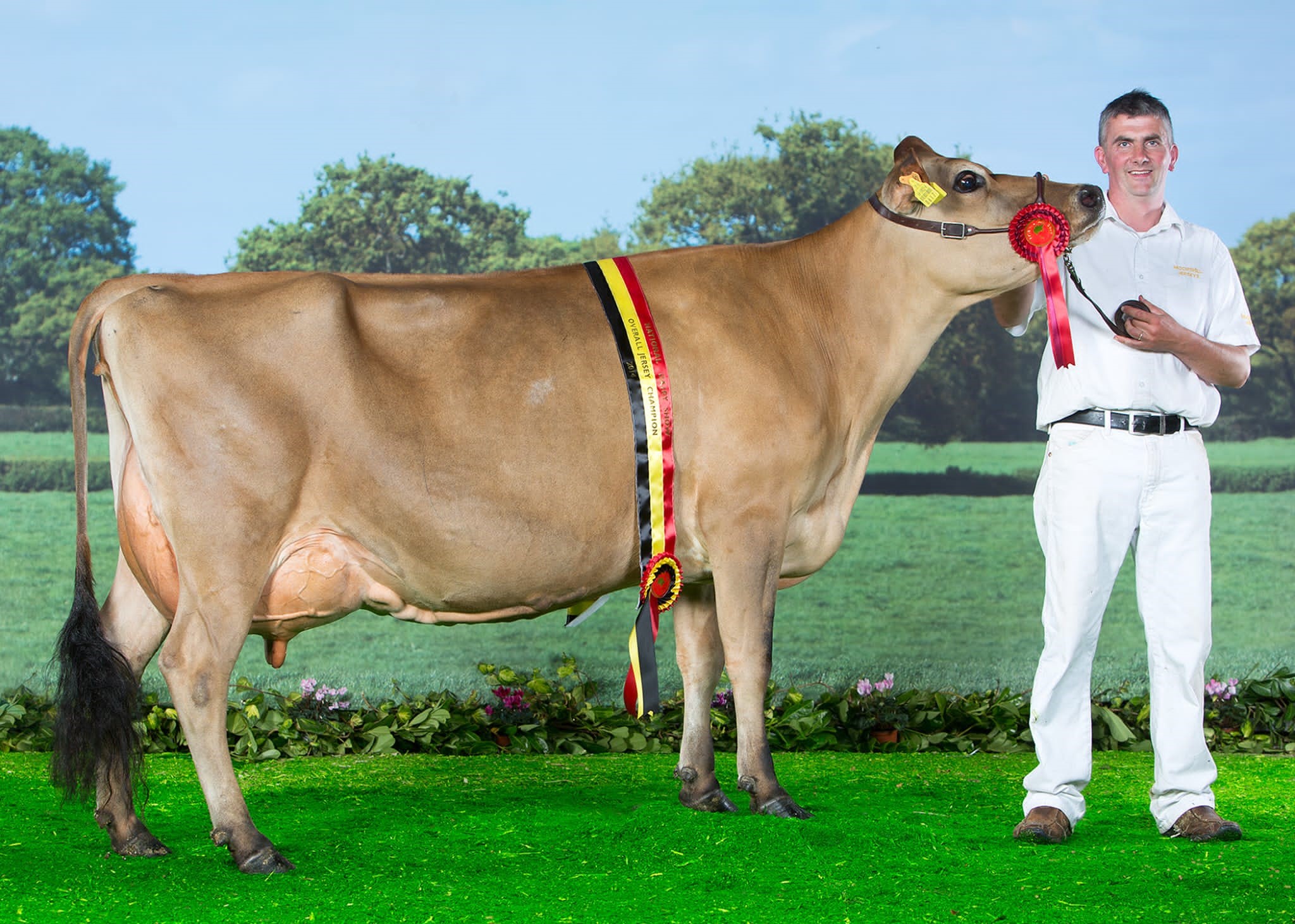 Pat Ahern with Moorshill Buttercup. Source: IHFA