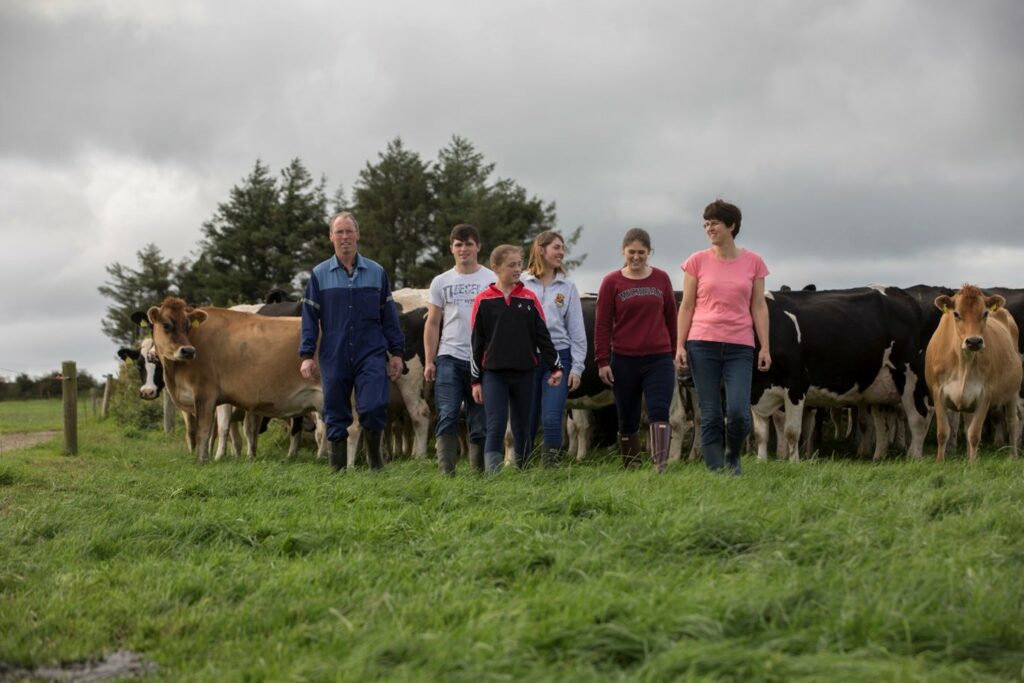 The Shannon Family were finalists in the NDC milk quality awards in 2017