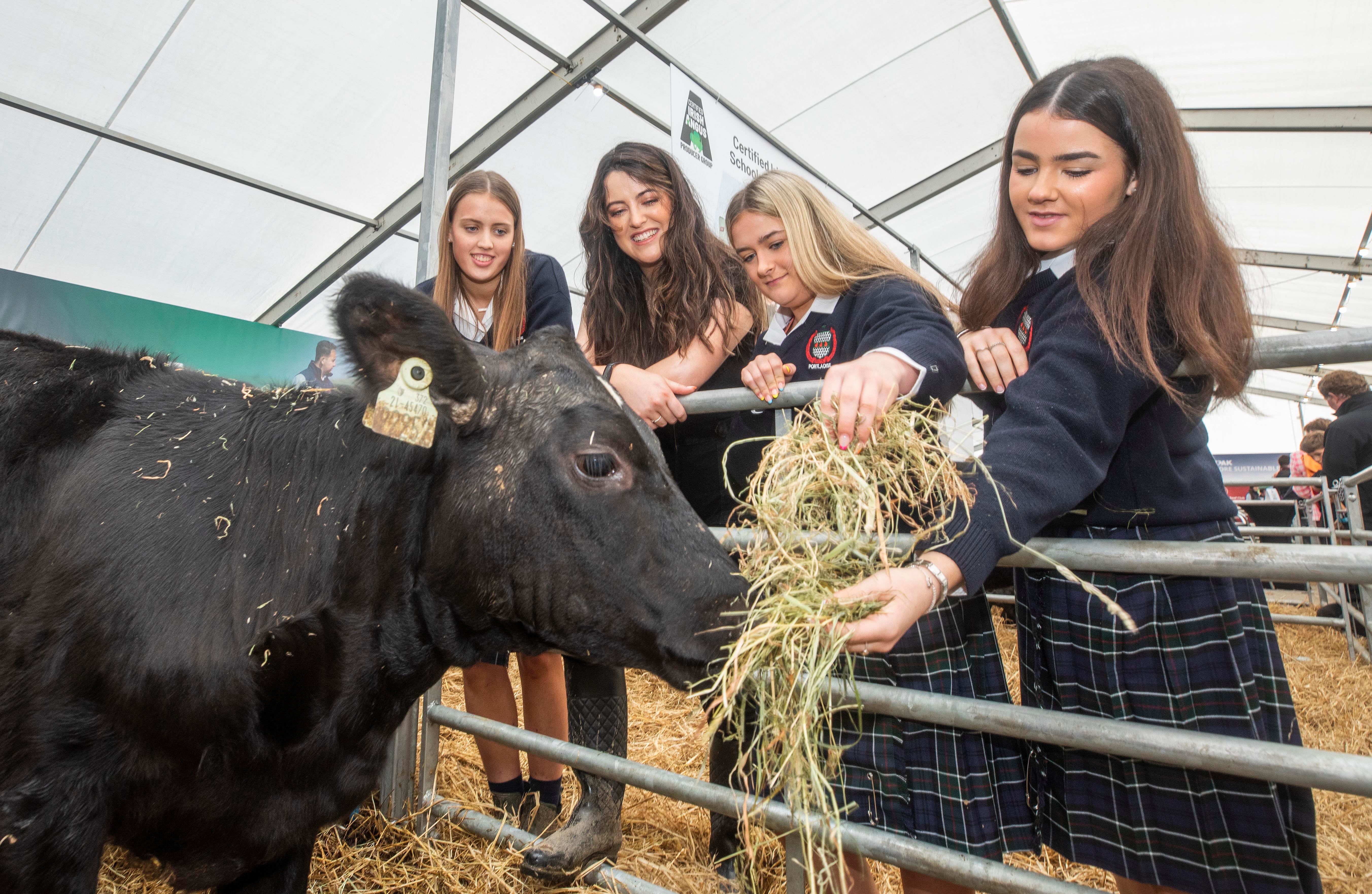 Finalists Sinead Slevin, Carol Sheehy and Jill Sheehy, Scoil Chriost Rí, Portlaoise. Picture: Finbarr O’Rourke