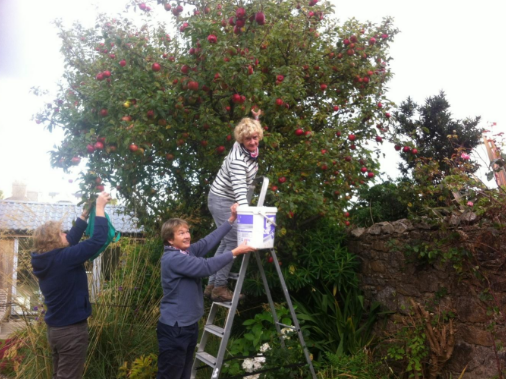 Source: Falling Fruit Ireland