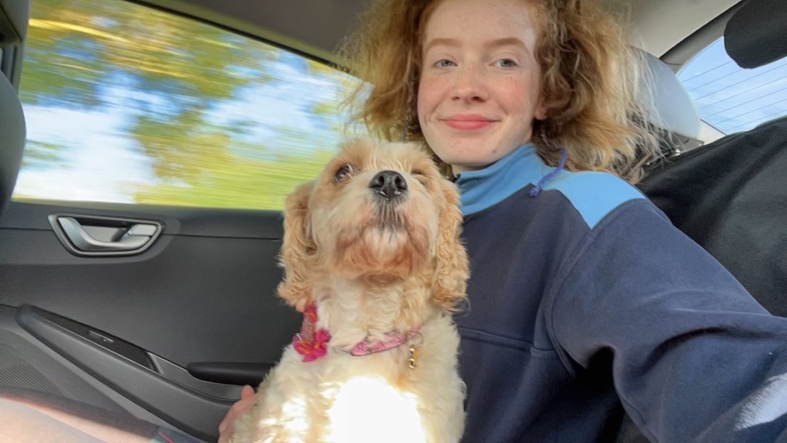 Photo of Sophie. Source: Volunteer for the ISPCA, Maria Fallon