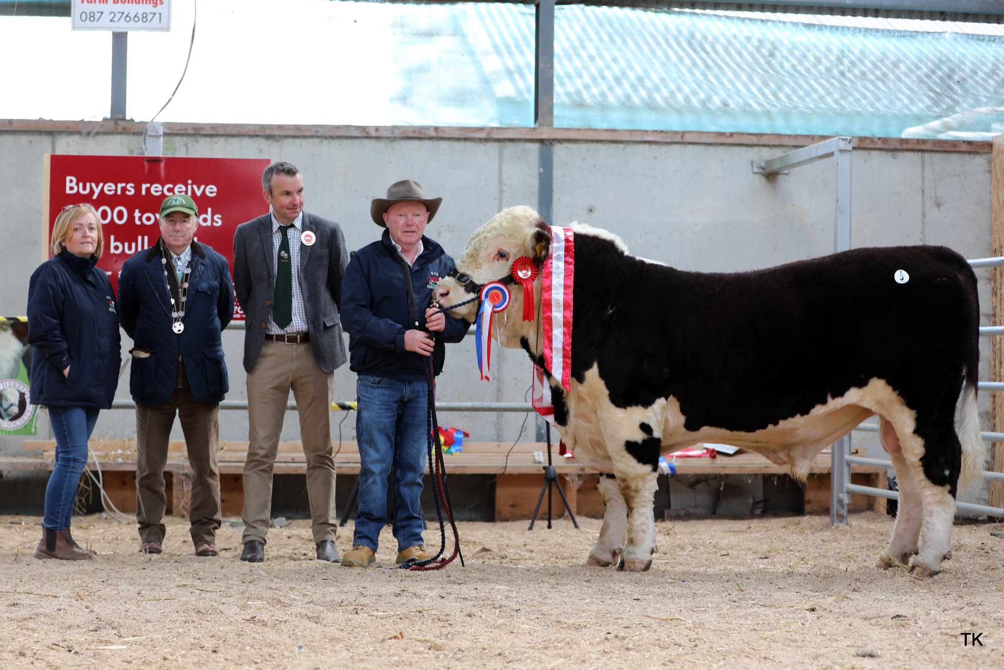 Kye Bouncer 972 exhibited by Padraig McGrath, Co. Roscommon sold for €3,500