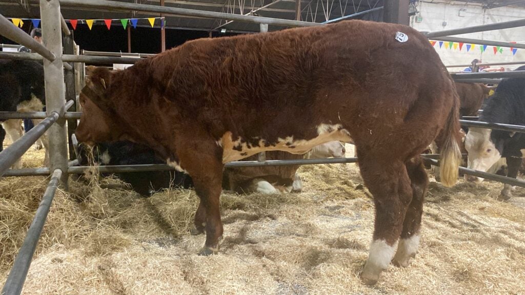 Lot 75 sold for €10,300