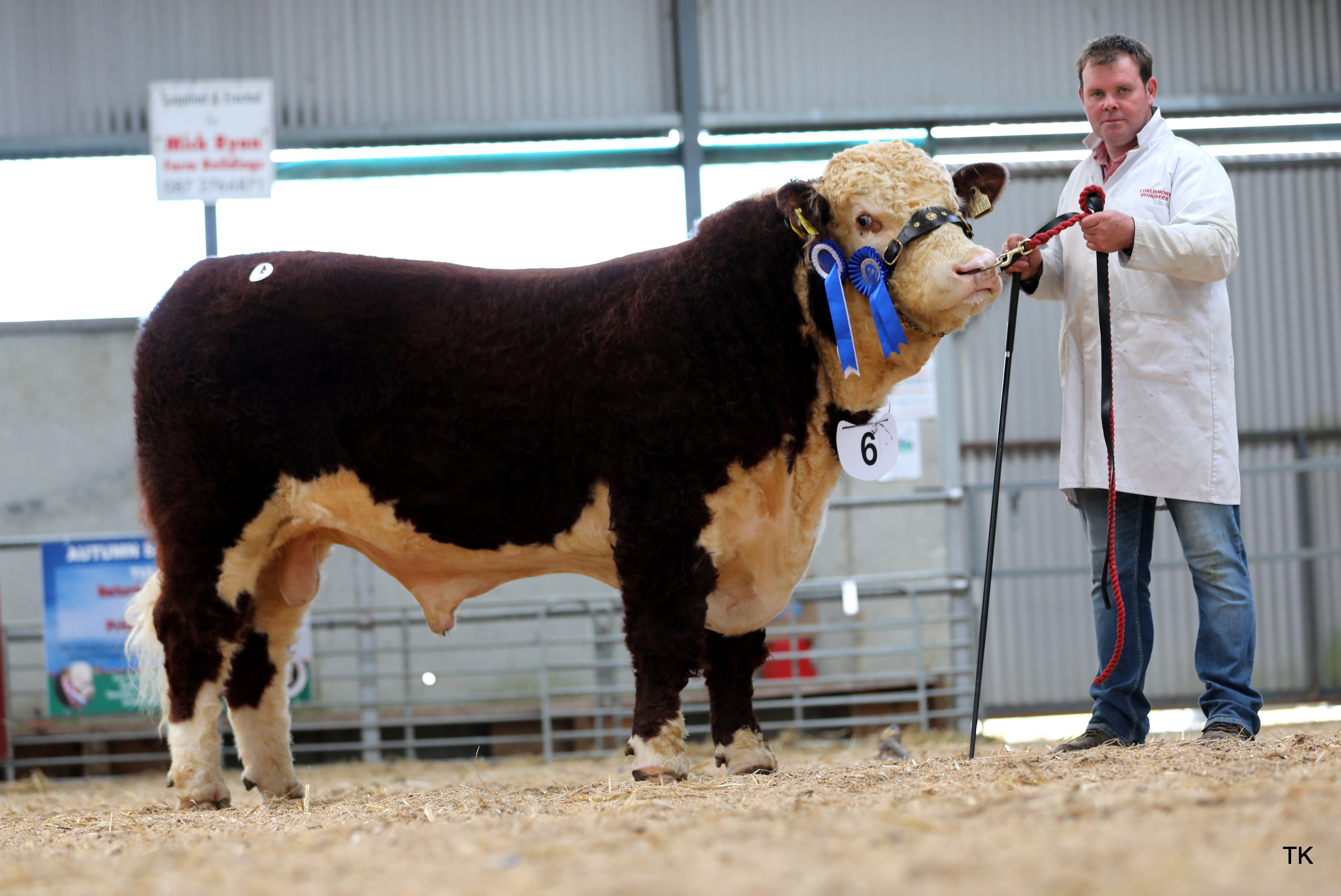 Corlismore Egghead 188 sold for €3,700