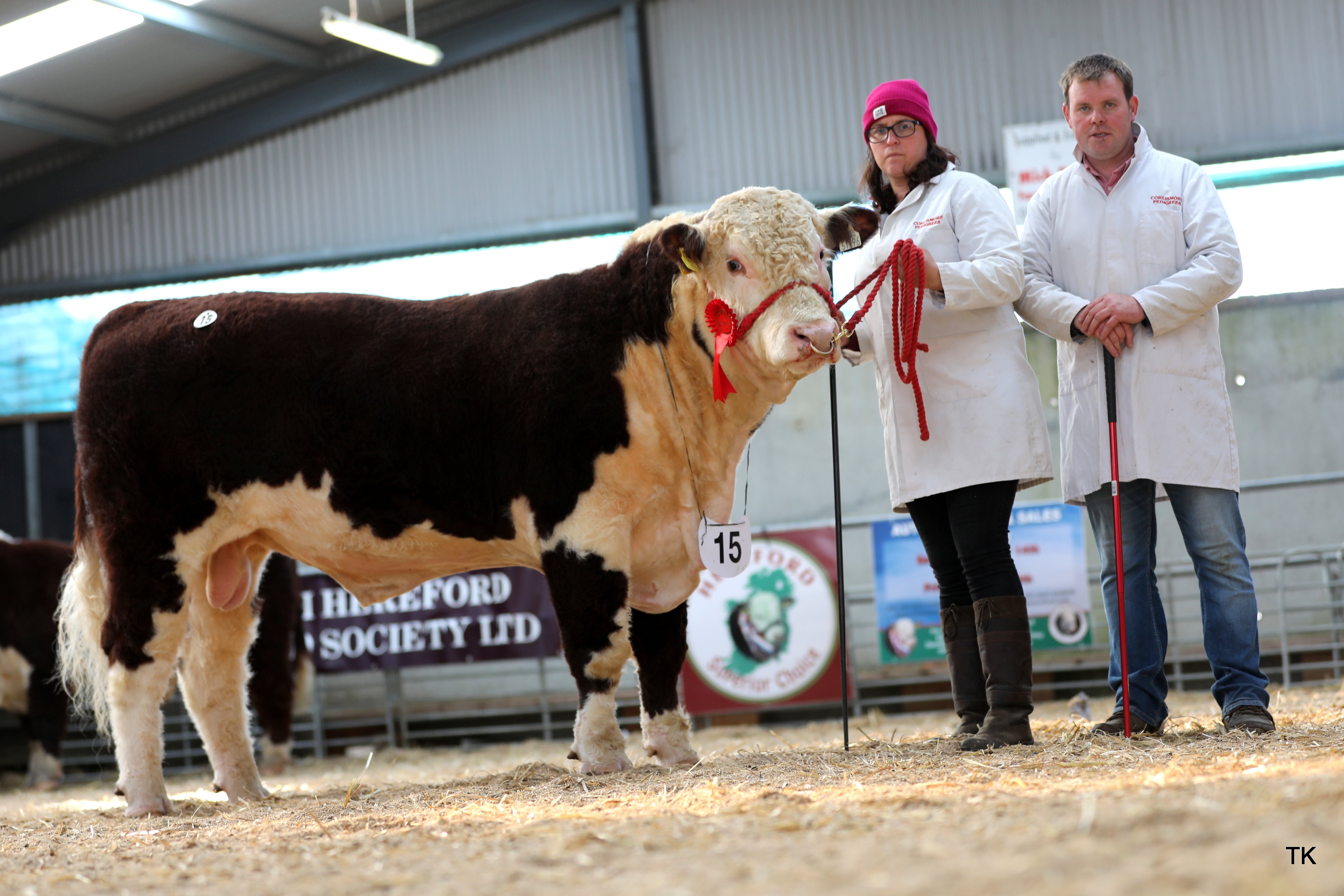 Corlismorepoll 1 Emperor 196 sold for €3,500