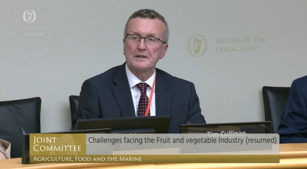 IFA president Tim Cullinan giving evidence to the Oireachtas Joint Committee. Source: oireachtas.ie