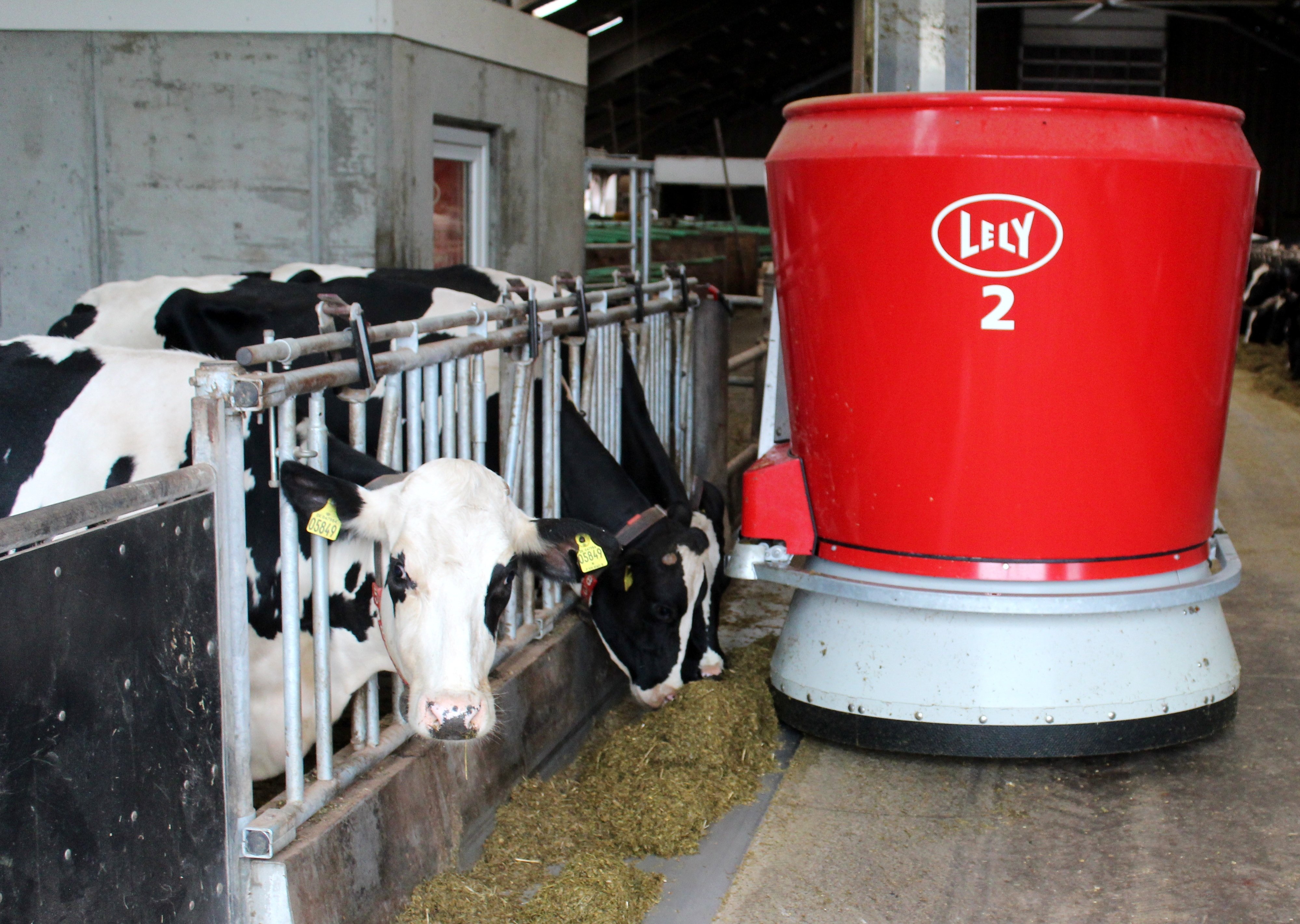The Lely Vector Feeding System in use at Grasten Agricultural College