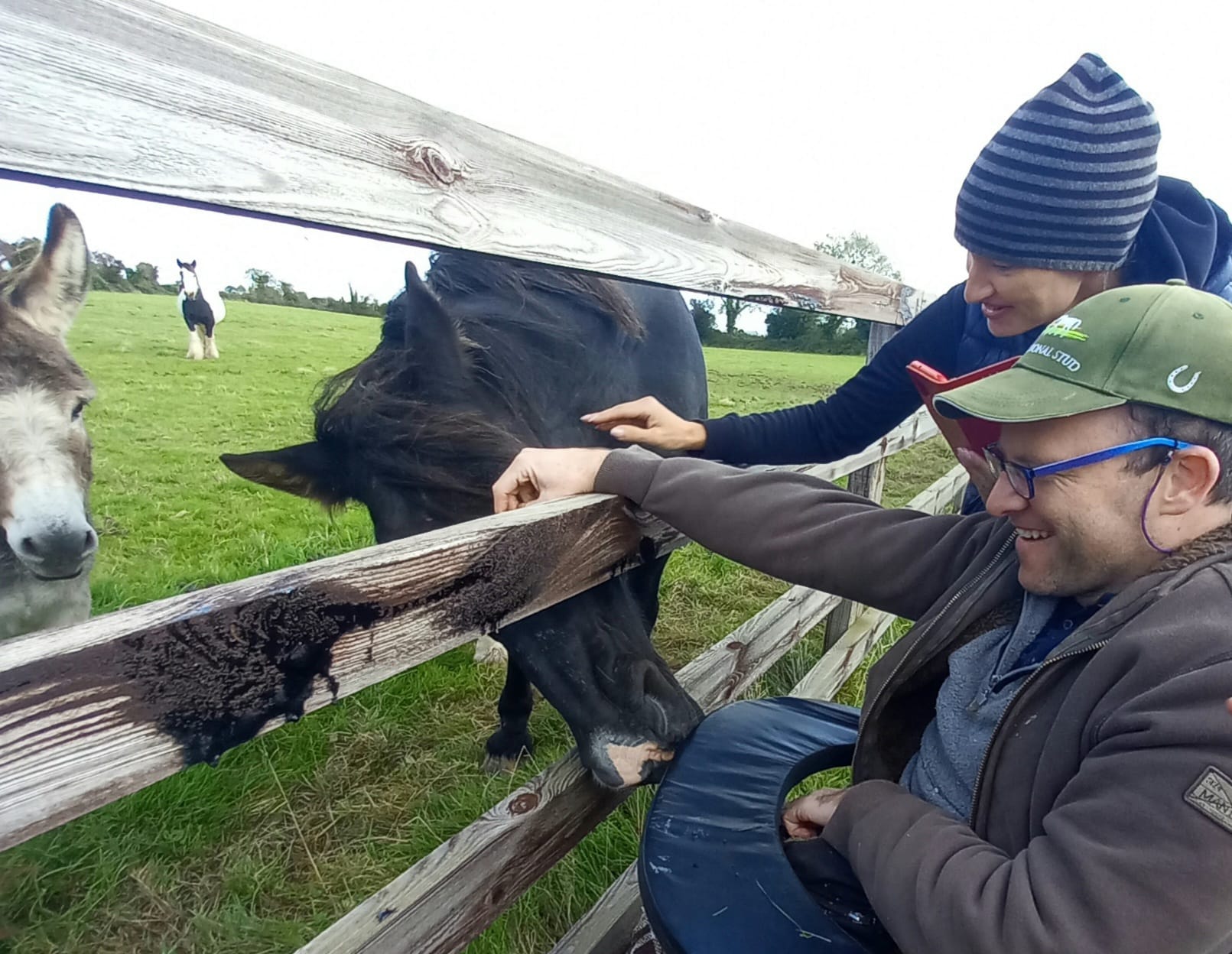 Meeting the animals at Galway's social farm, Thomastown, Kilkenny