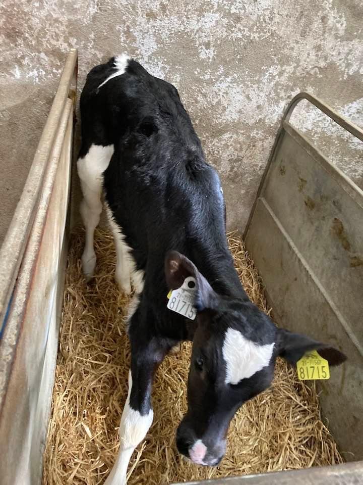 Lot 4A