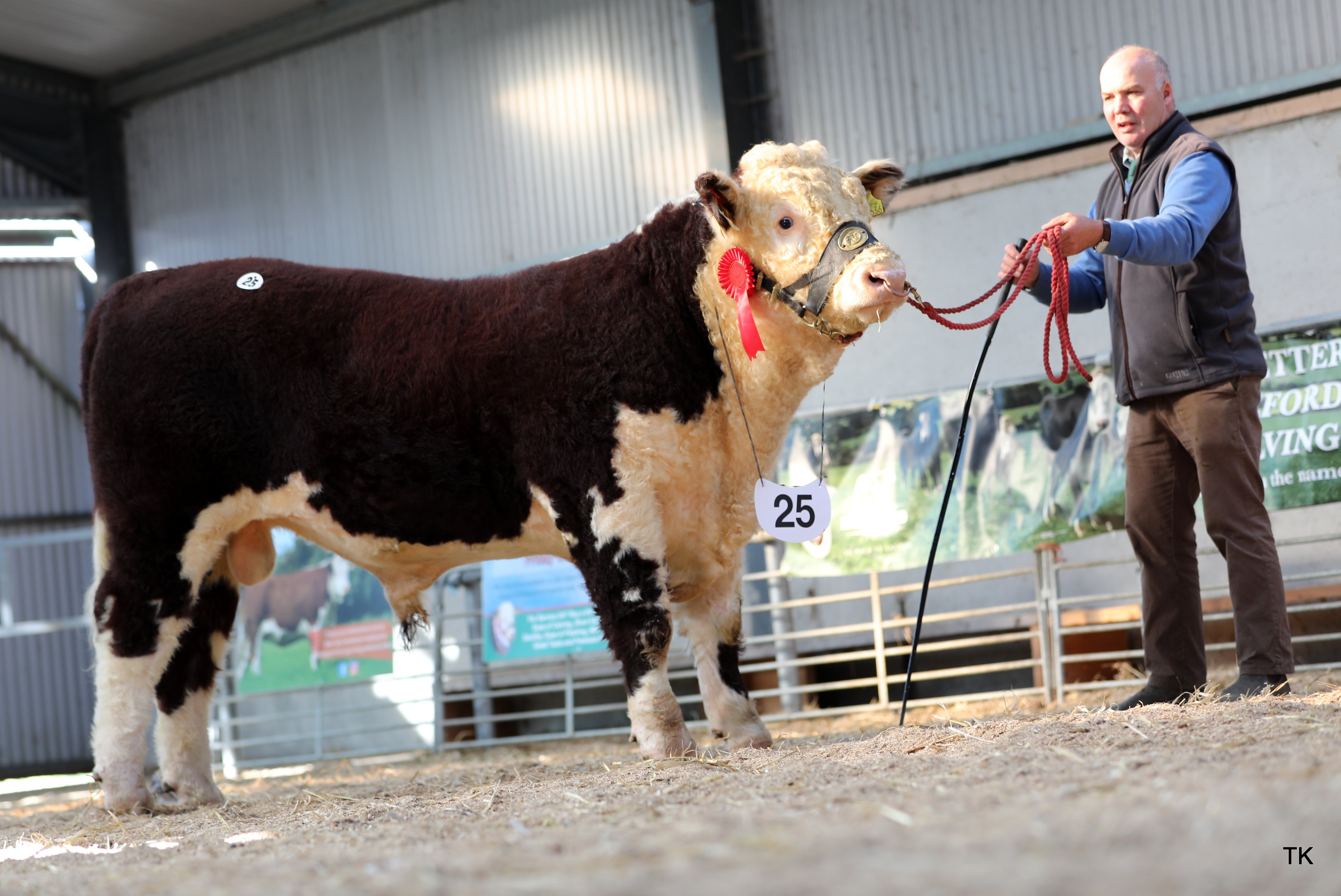 Moyclare Valiant sold for €3,700