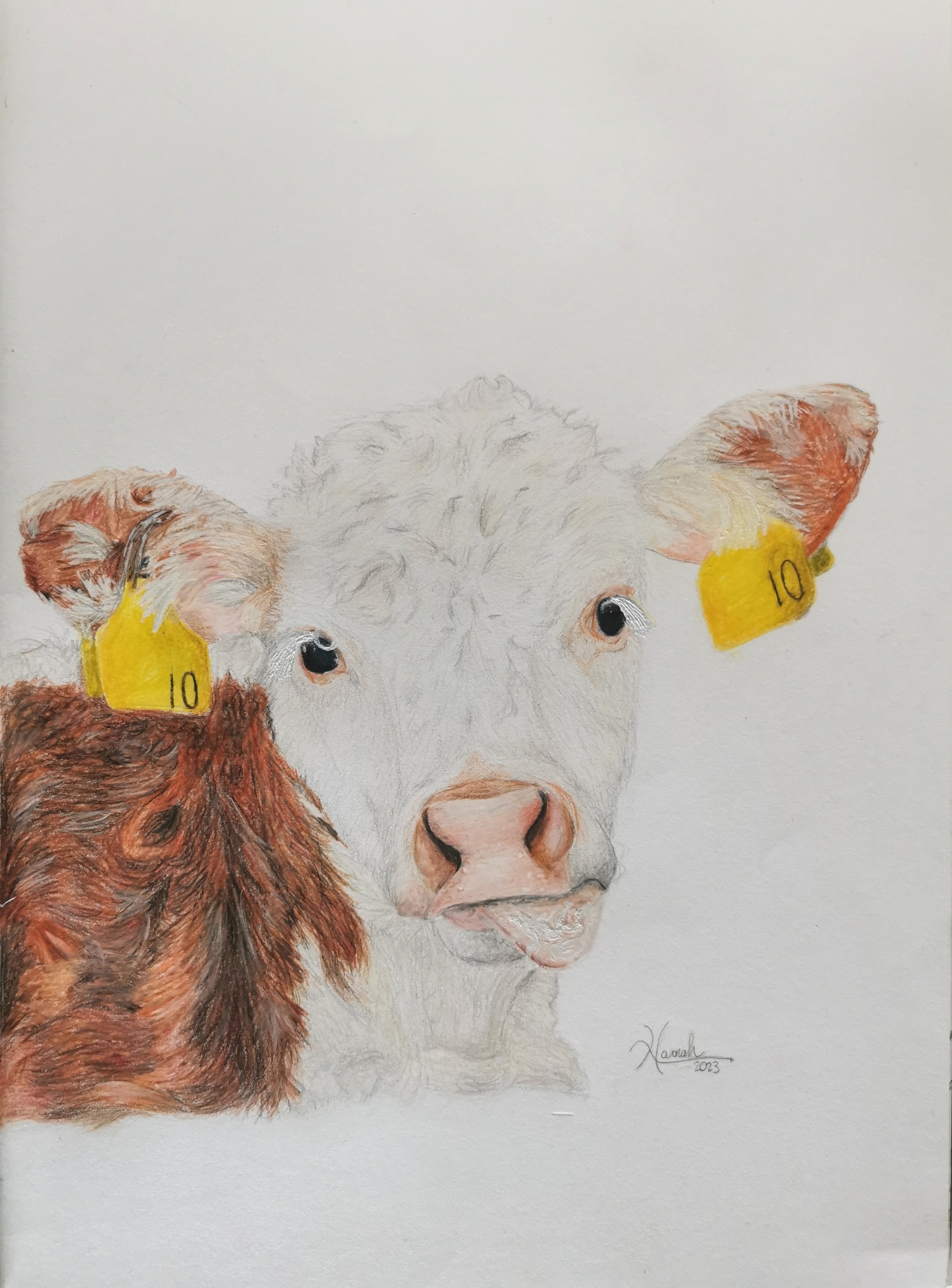 online at https://www.irishherefordprime.com/shop/