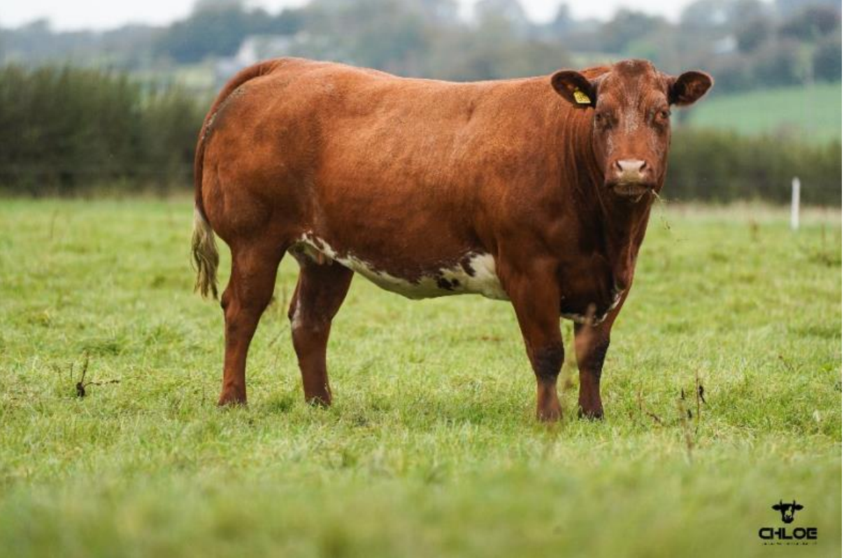 Lot 16 sold for €6,100