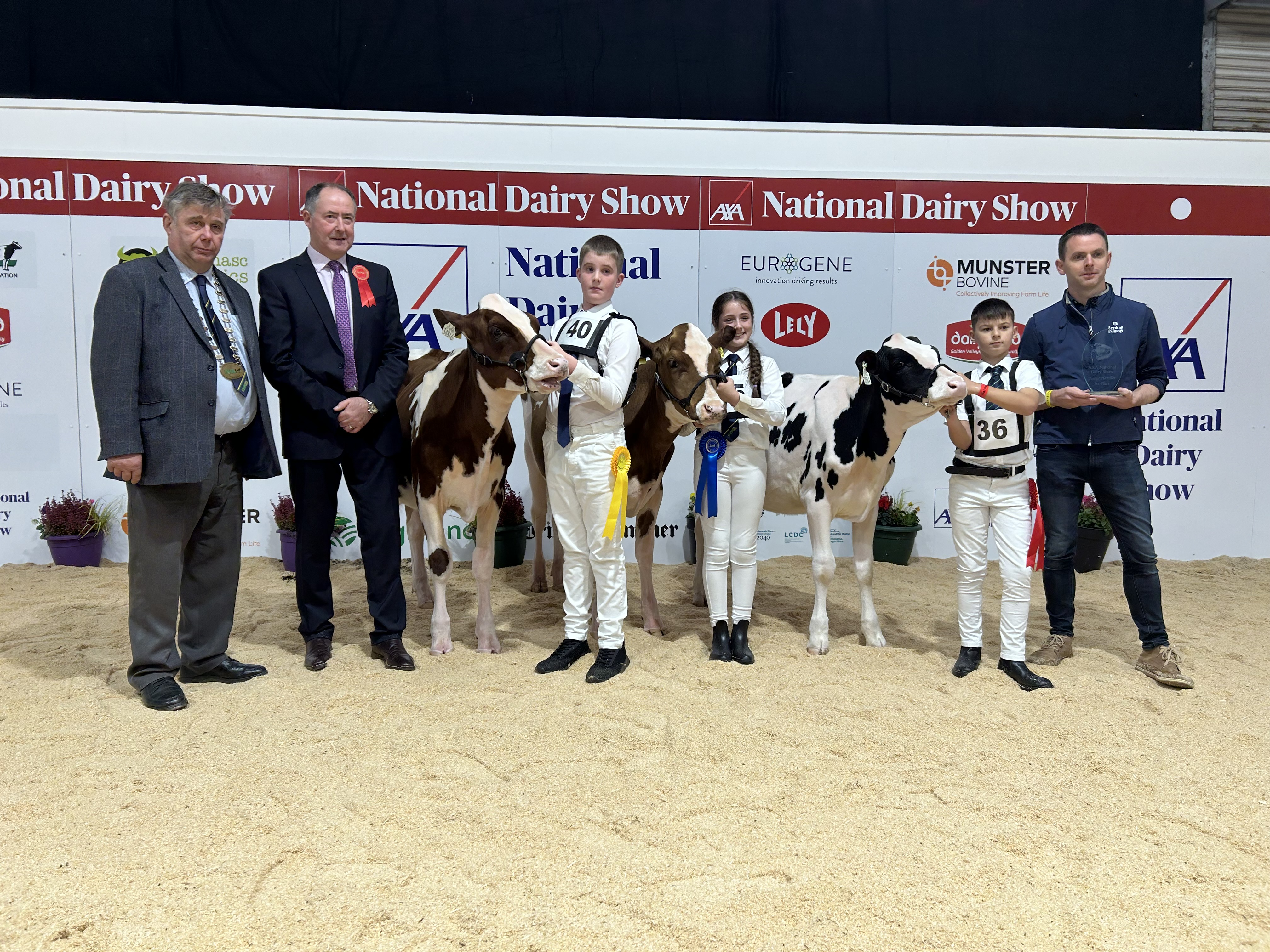 Richard Hamilton IHFA President, Judge Ashley Fleming, Jack Barrett,  Ailbhe Barrett, Gaeriod Long and Donal Casey from Bank of Ireland