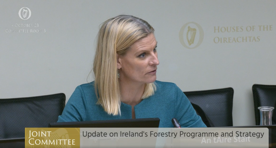 Source: oireachtas.ie