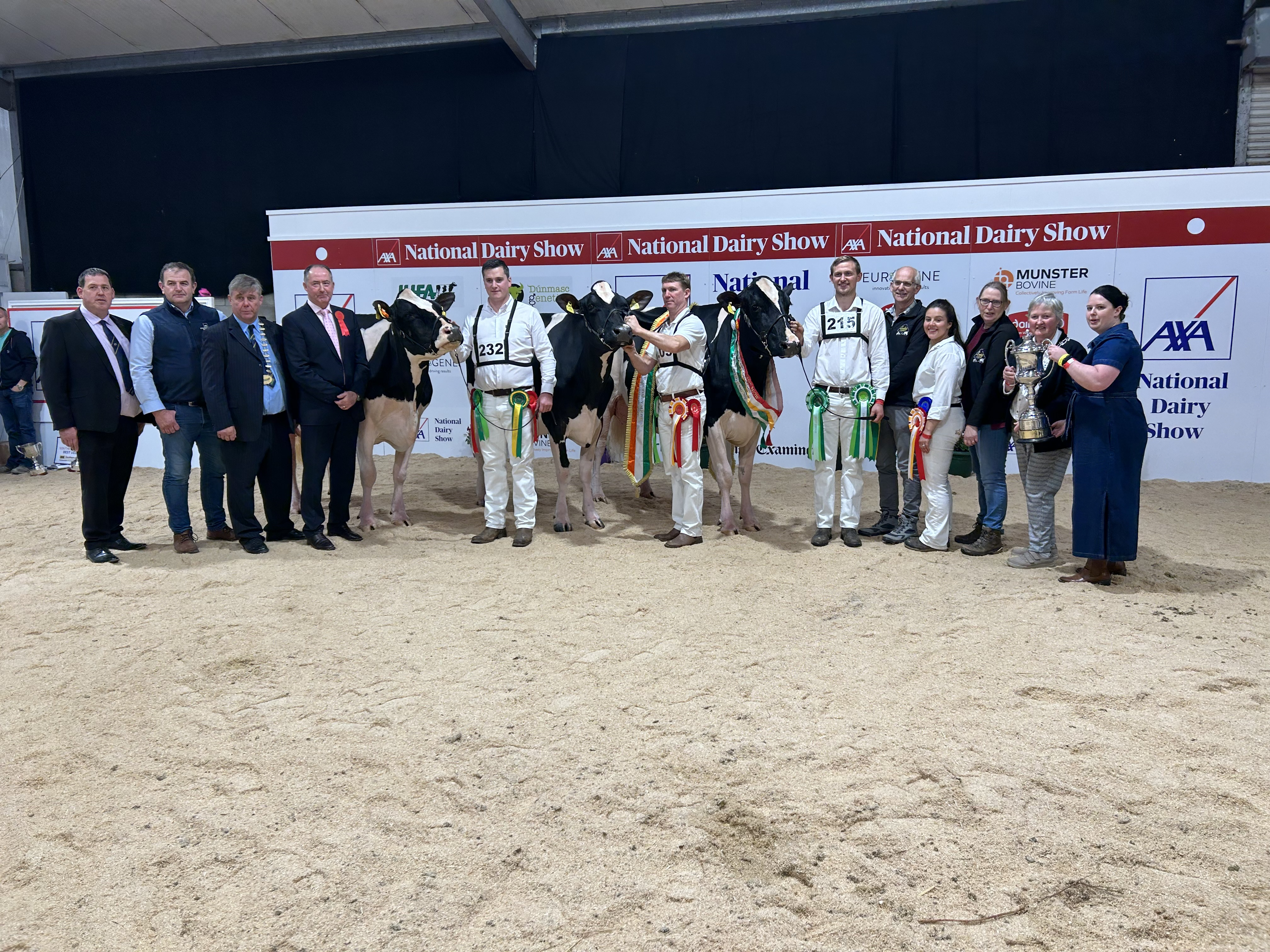 Denis Kiely show director, Tom McCarthy from AXA, Richard Hamilton IHFA president, Brendan Greenan with Eedy Doorman Acclaim, Philip Jones with Hallow Solomon Twizzle Et, Jason Helen with Eedy Doorman Fame, Robert, Laura, Silvia Helen, Ursula Forrest President of Cork Club and Rachel Martin