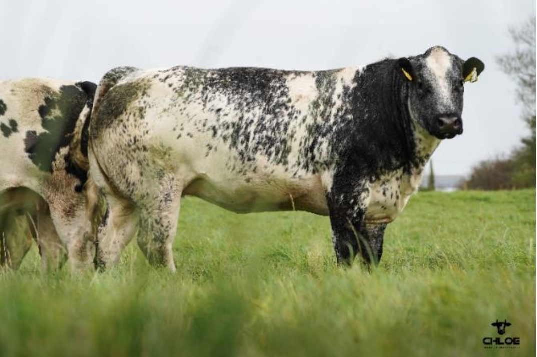 Lot 19 sold for €5,000