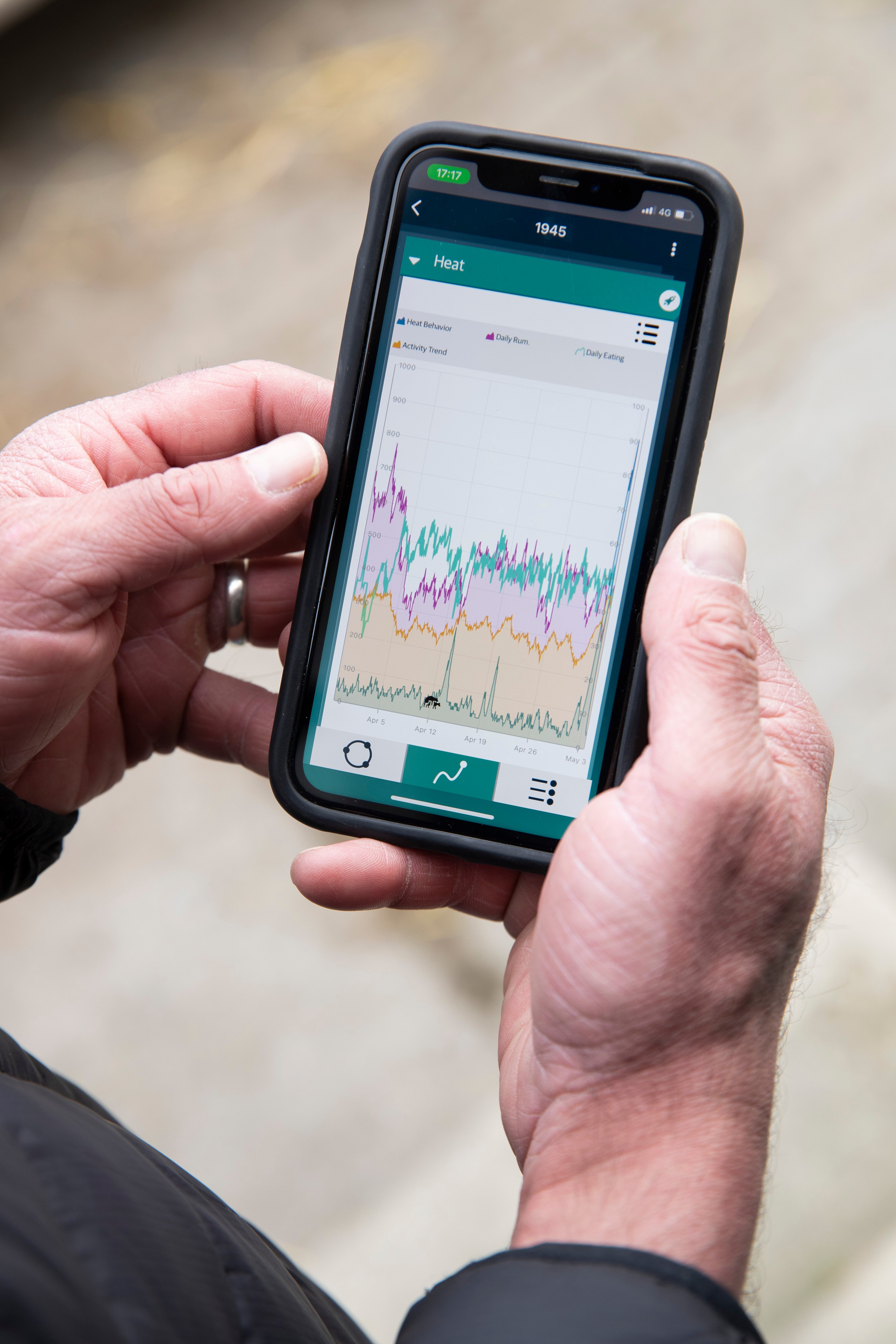 Animal showing signs of heat in the SenseHub app