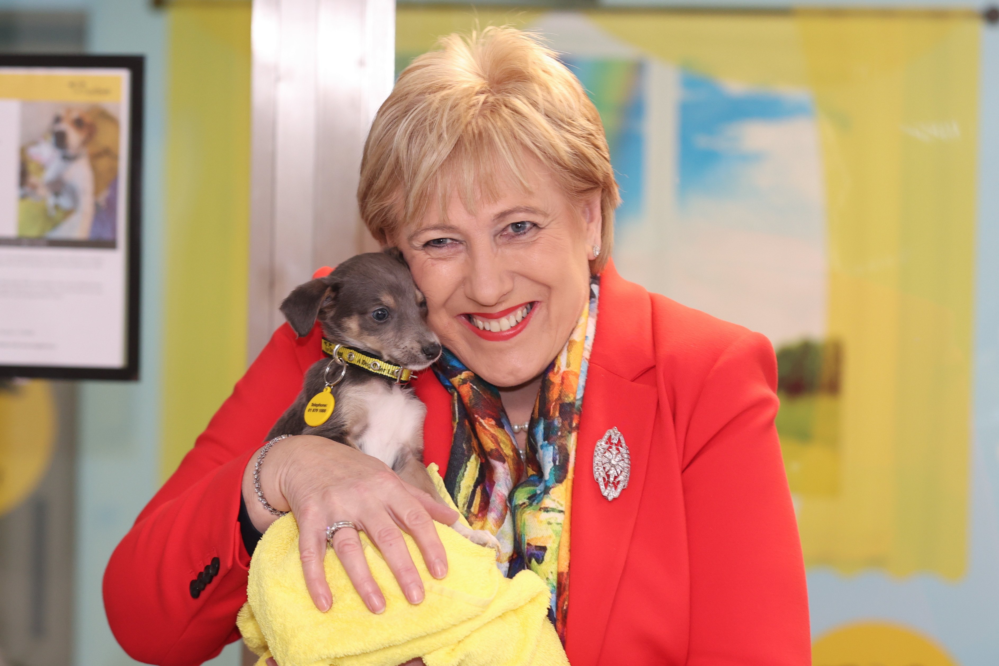 Minister for Rural and Community Development, Heather Humphreys, visited the national headquarters of Dogs Trust Ireland in Finglas, Dublin