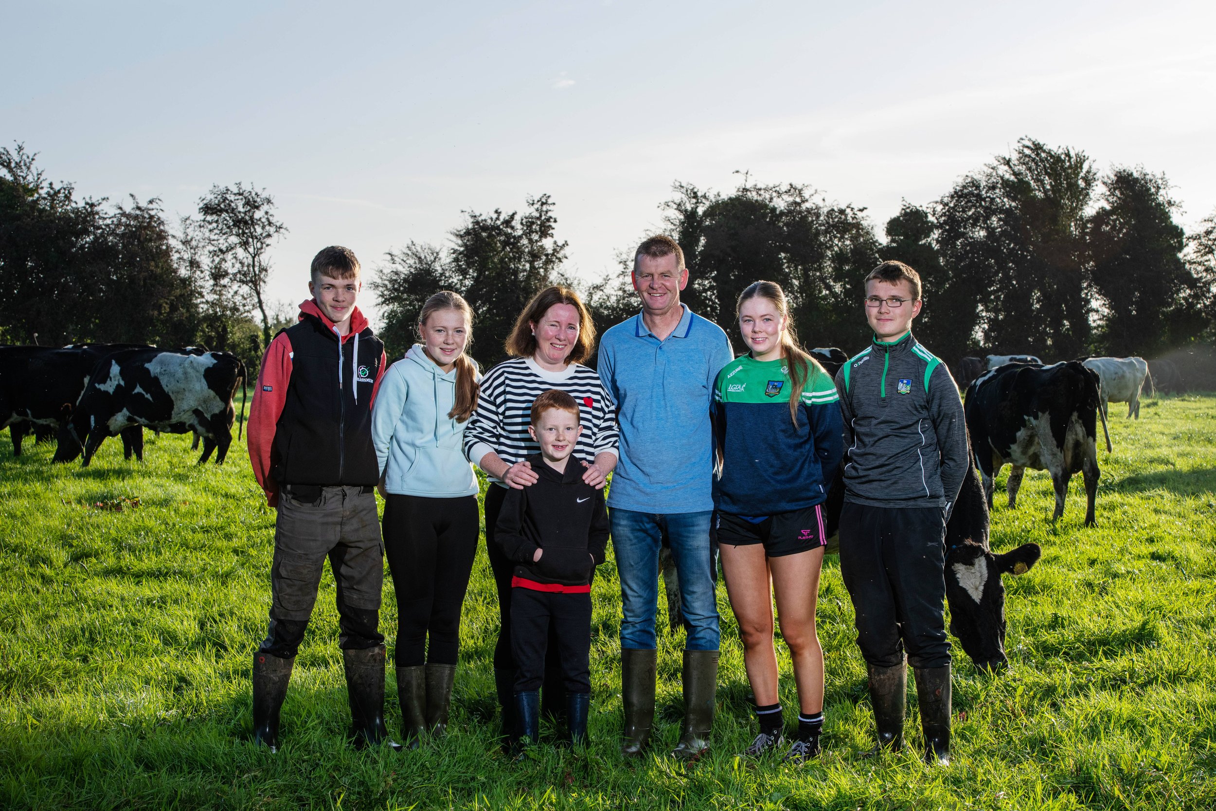 MacNamara family, Co. Limerick