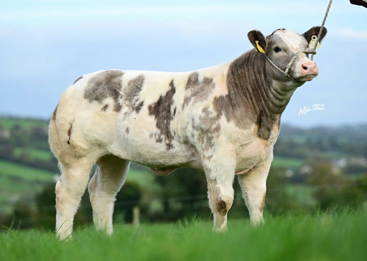 Lot 10 sold for €12,200