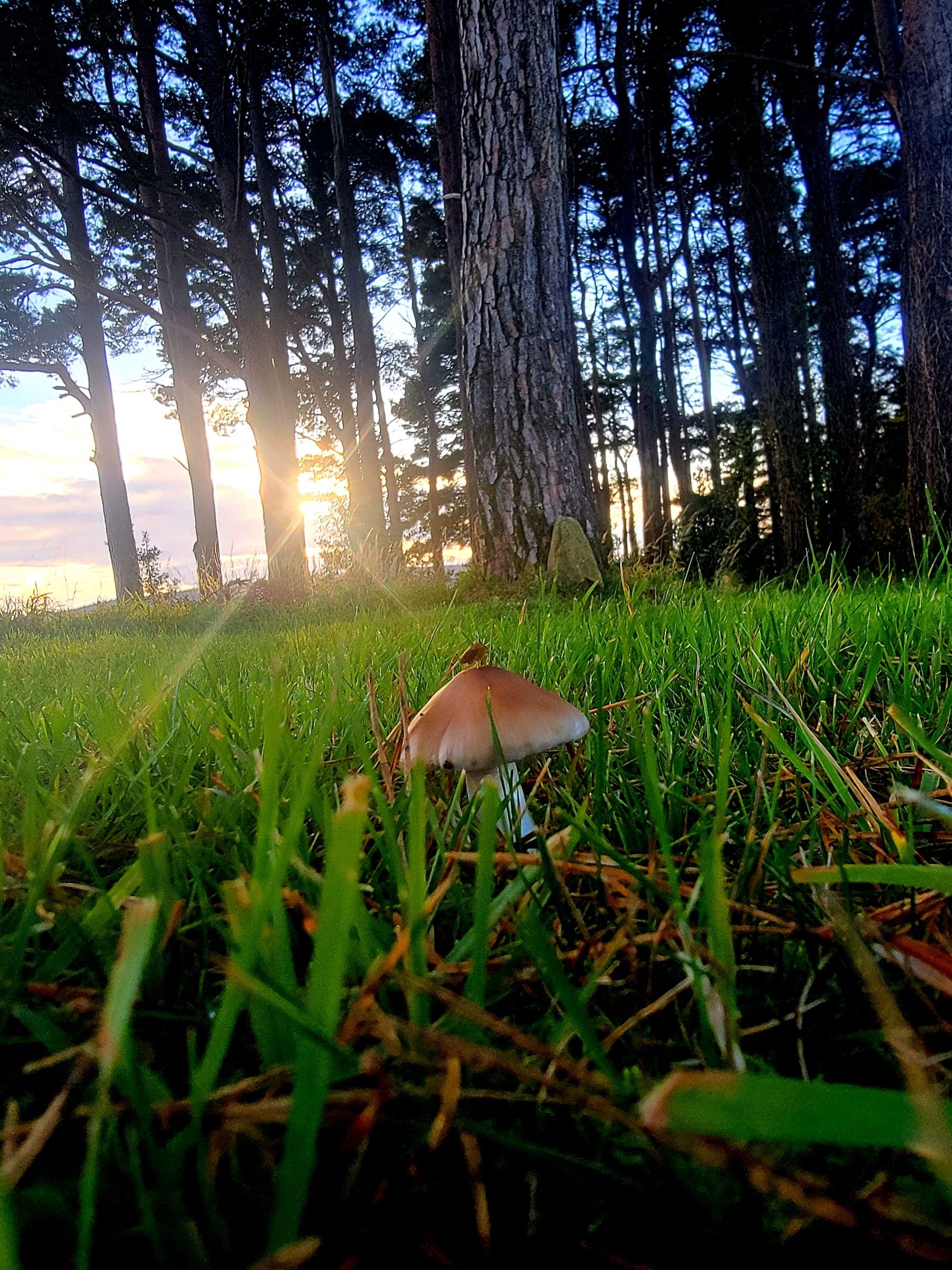 Photo by Skyla McPartland