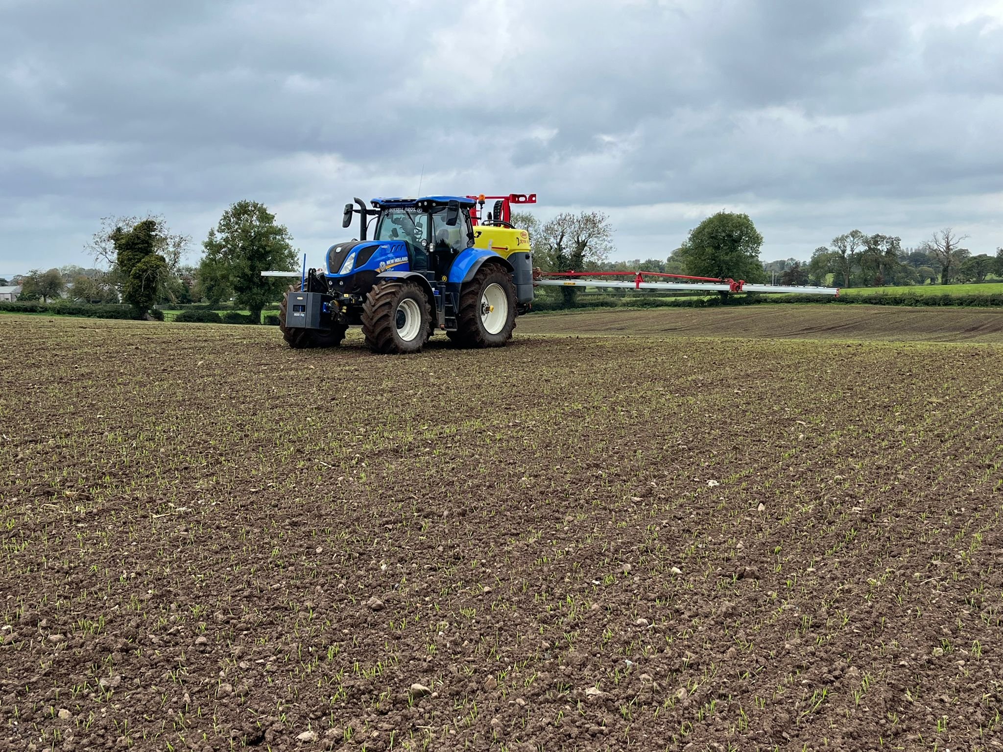 The wheat was sprayed with Shooter on October 17