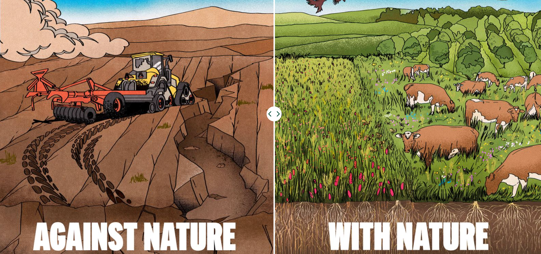 Source: Wildfarmed