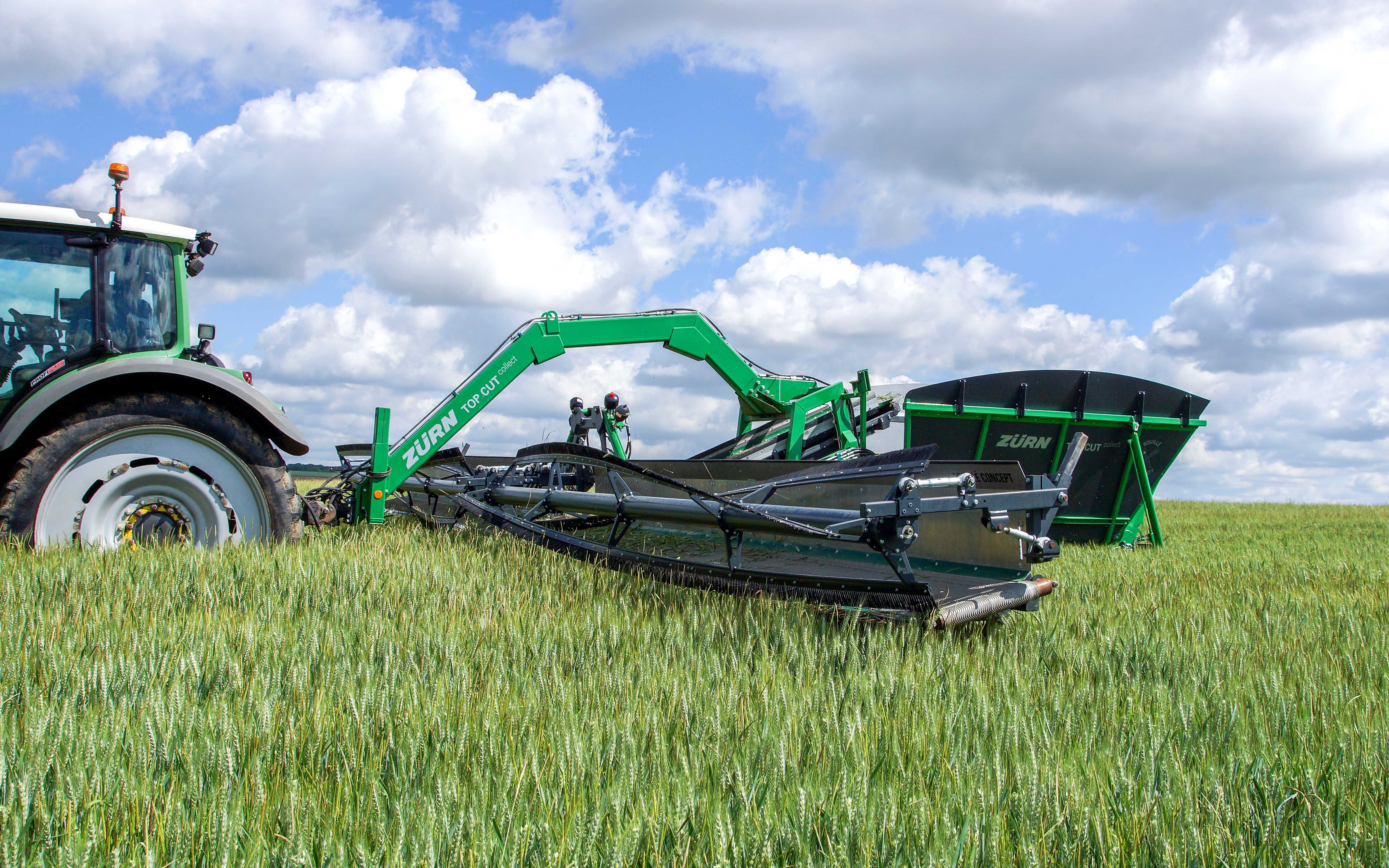 The weed harvester runs above the ears of the crop, cutting and removing weeds.