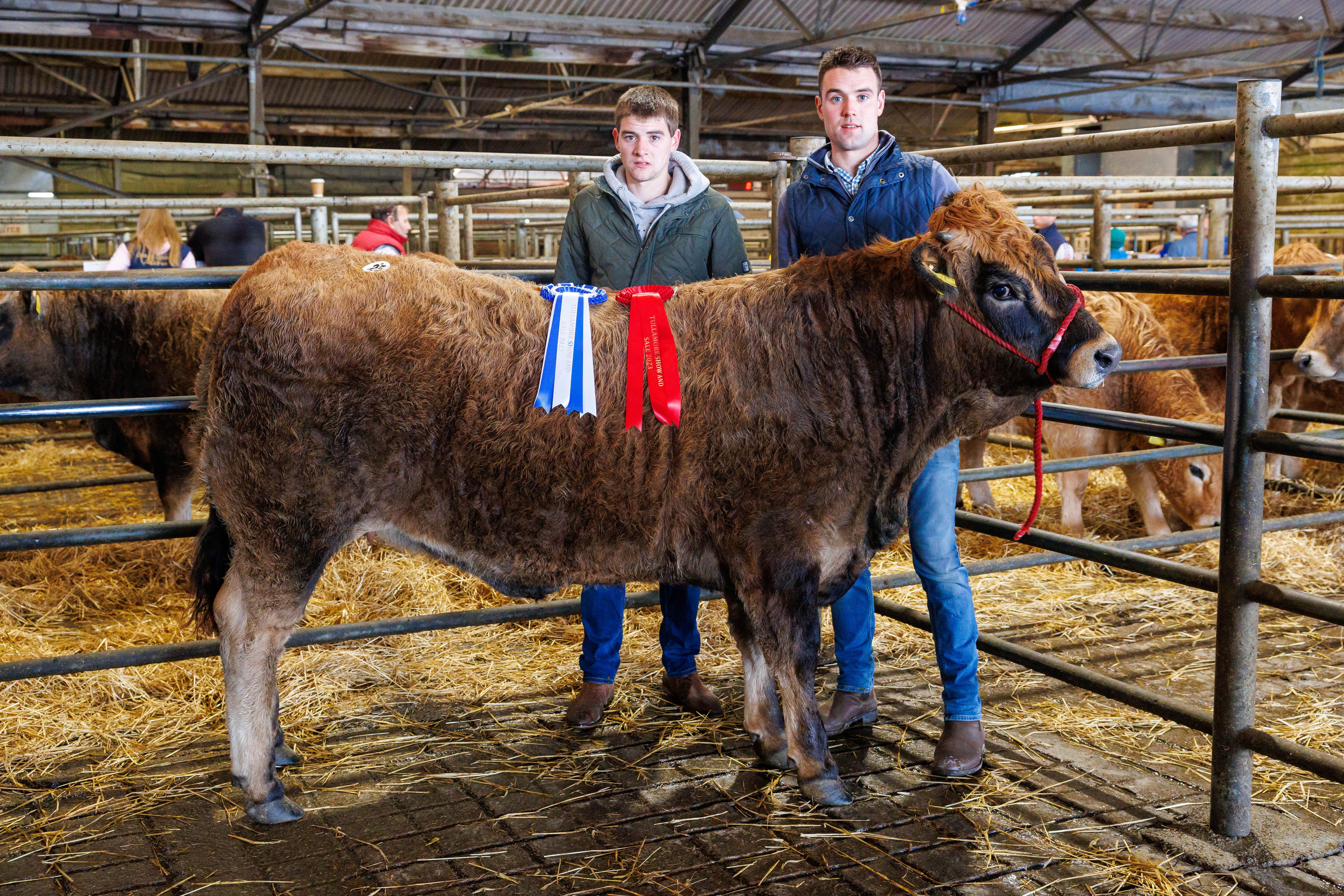 Kyle and Evan Walsh from Ballintra, Co. Donegal, pictured with their reserve champion heifer