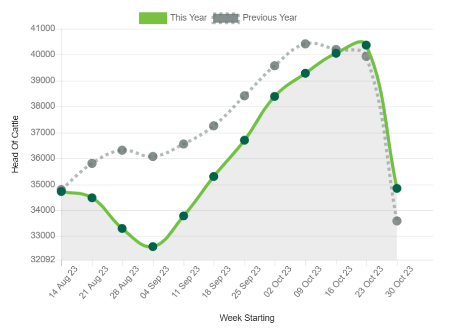 Weekly kill of heifers, steers, cows, bulls and young bulls processed at DAFM-approved factories. Source: DAFM
