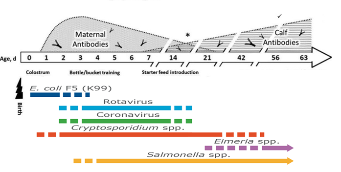 Neonatal scour pathogens in relation to age &amp; immune status of calf