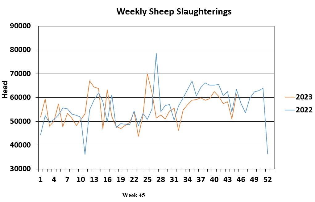 The graph shows how weekly sheep slaughterings this year compare to last year Source: DAFM