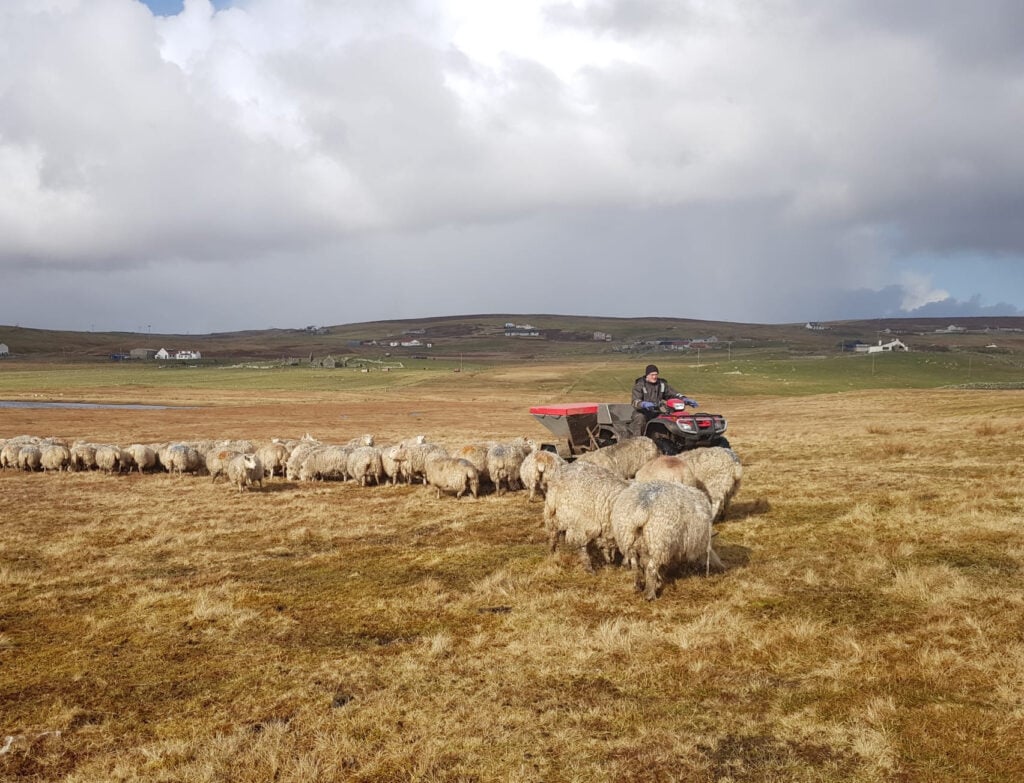 Source: Laurence Odie