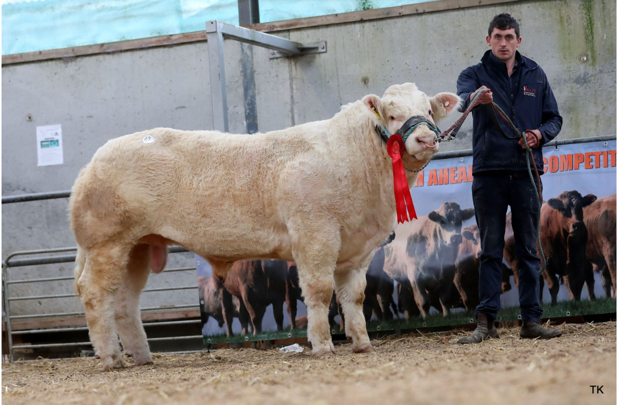 Gallaway Trueman sold for €5,400