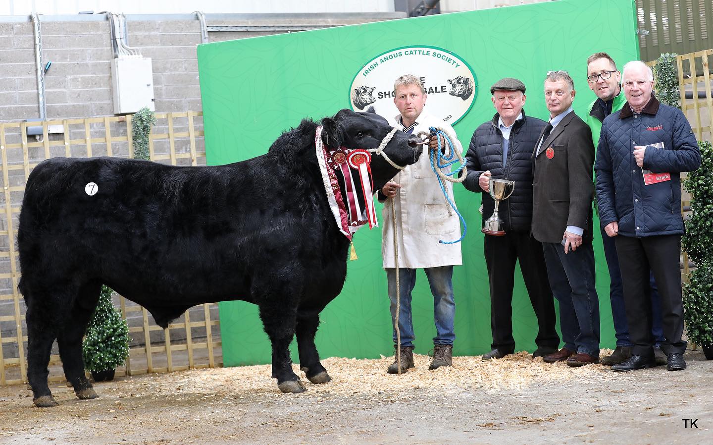 Coolrain Victory sold for €5,100