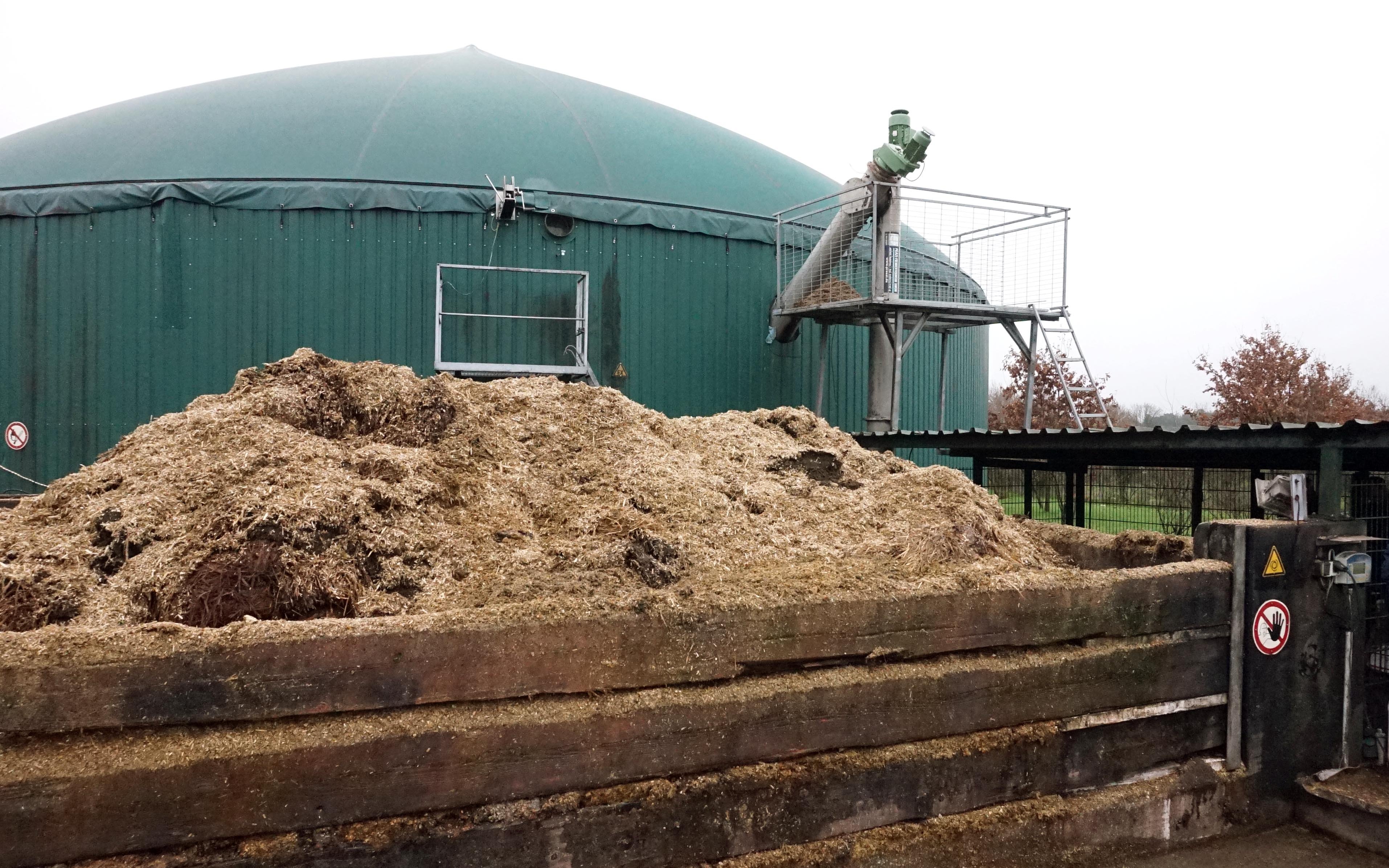 The assorted feed materials loaded into a hopper before being slowly fed into the digestors