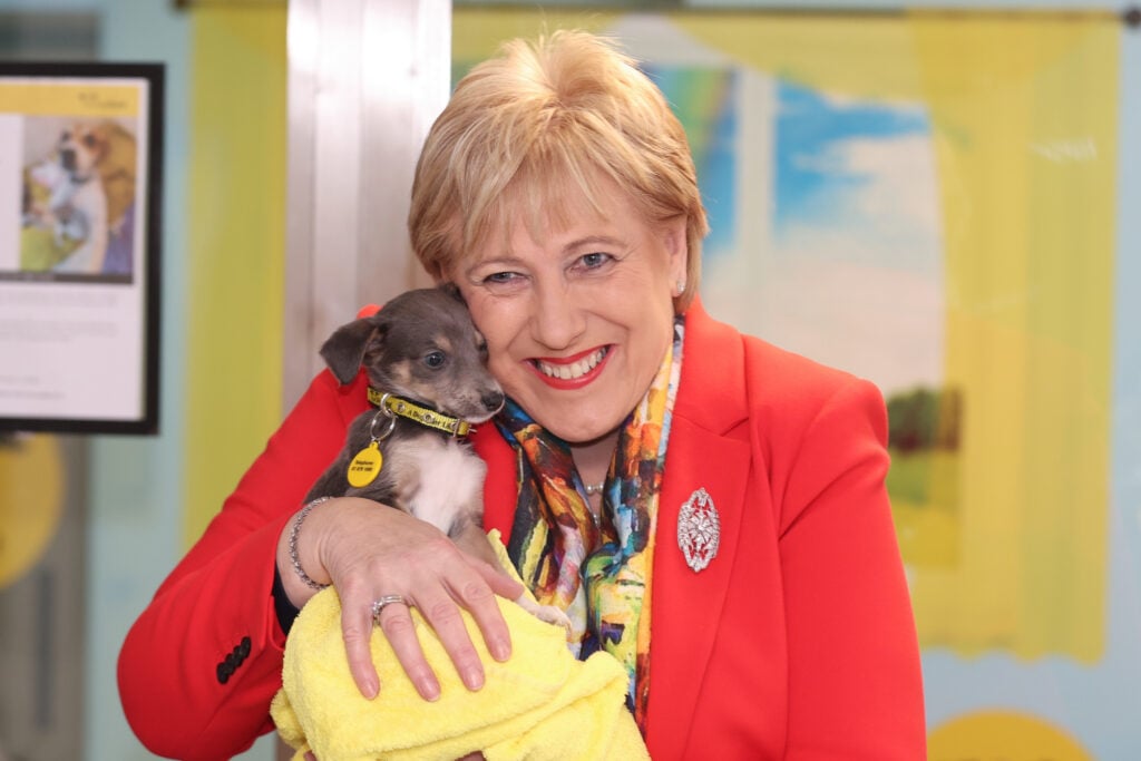 Minister for Rural and Community Development, Heather Humphreys at the Dogs Trust headquarters in Dublin